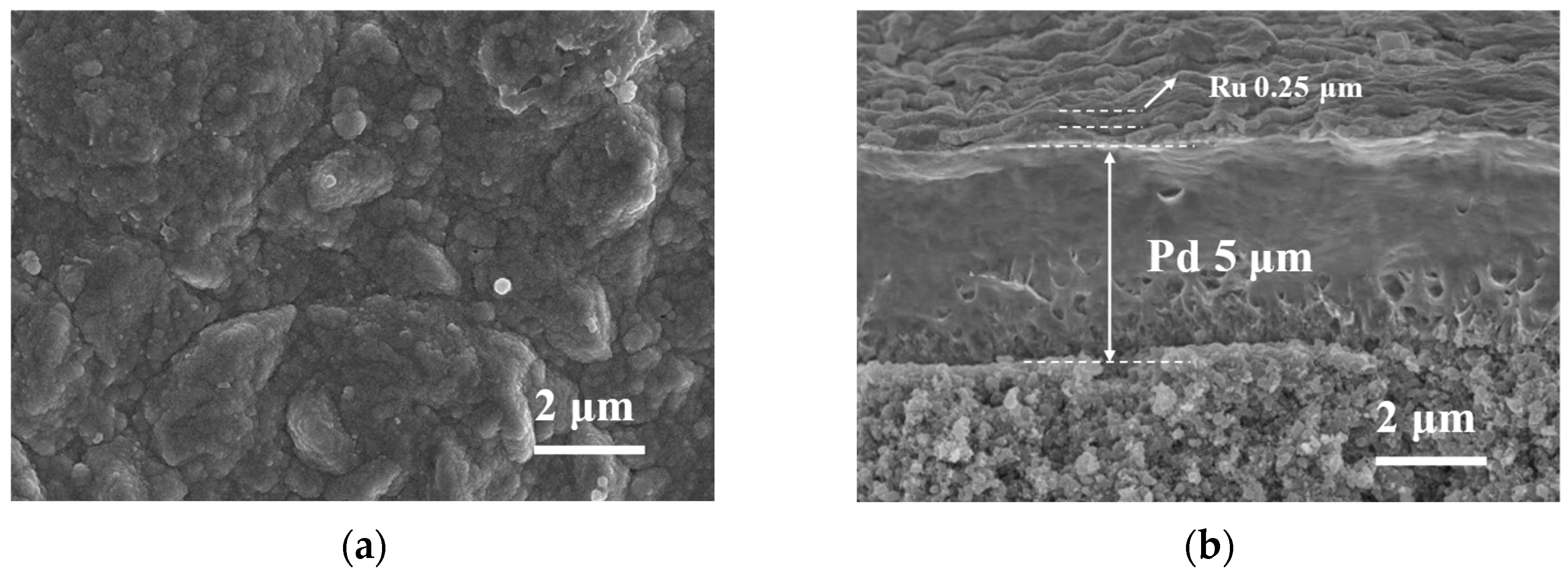 Membranes 14 00059 g001