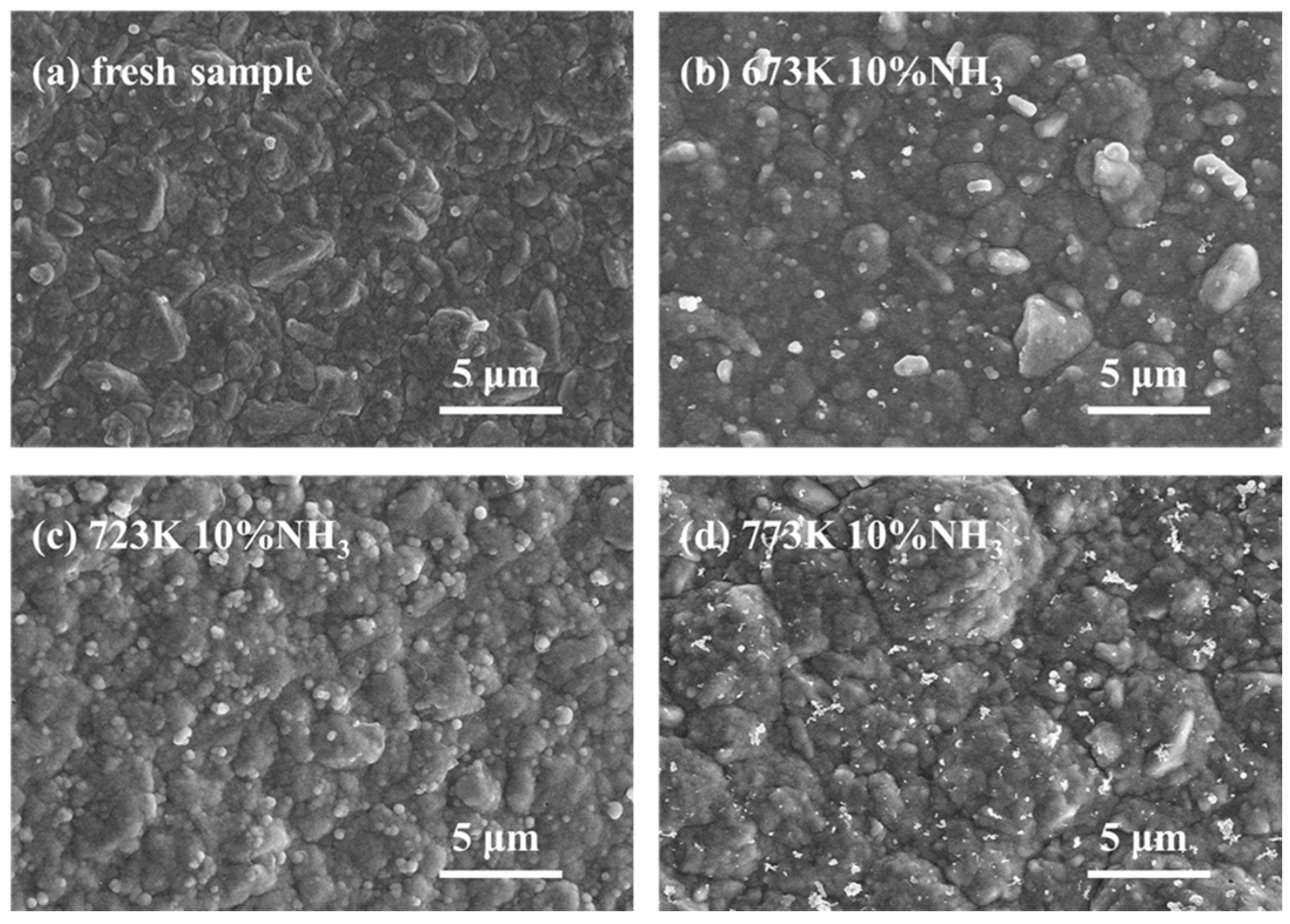 Membranes 14 00059 g009