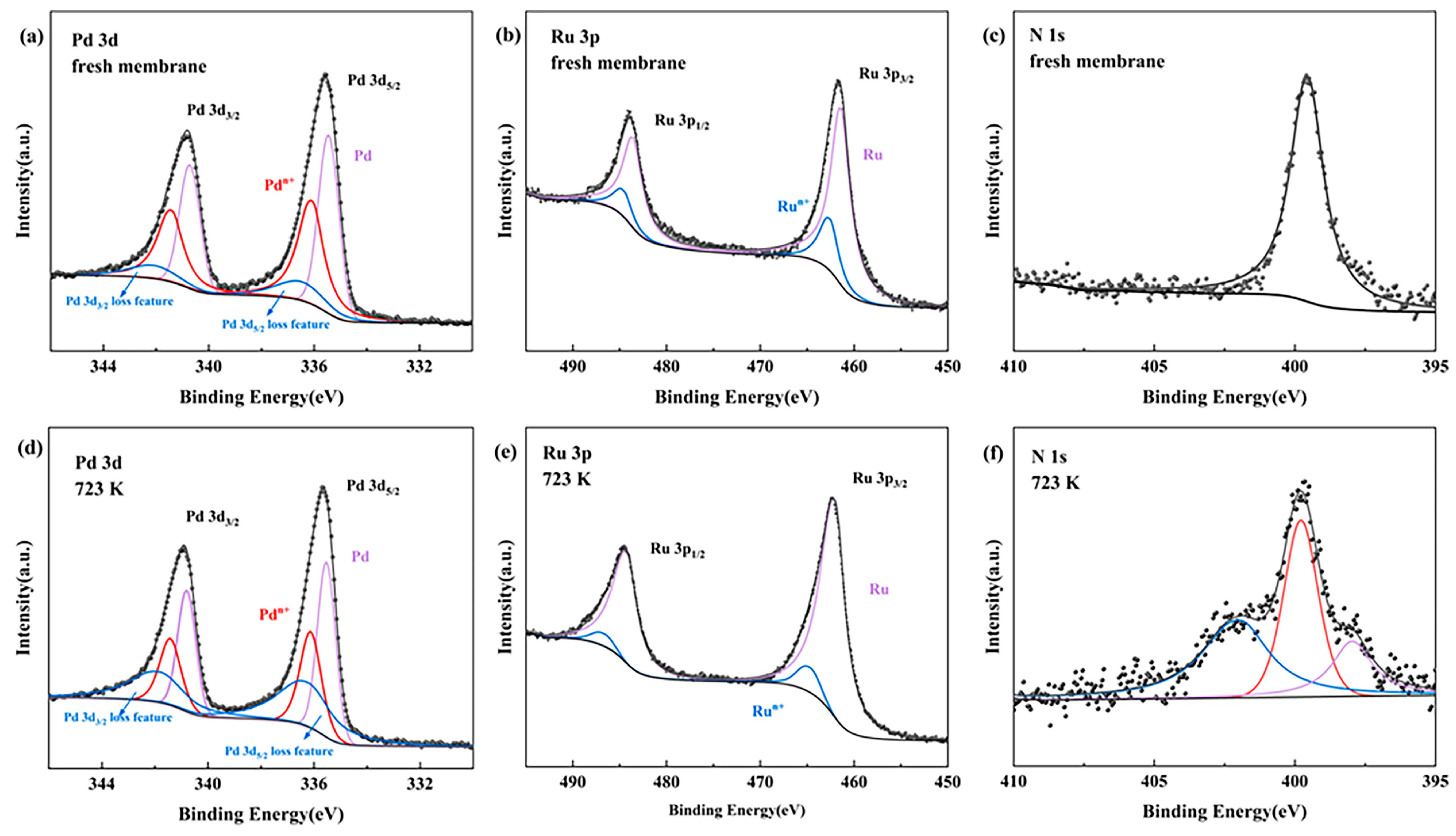 Membranes 14 00059 g011