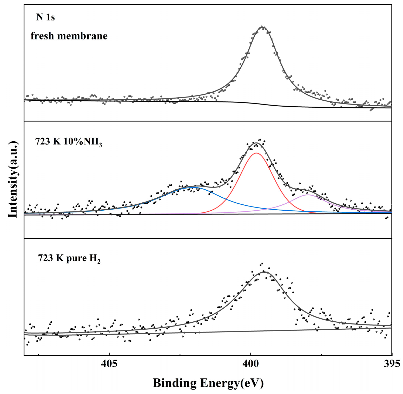 Membranes 14 00059 g012