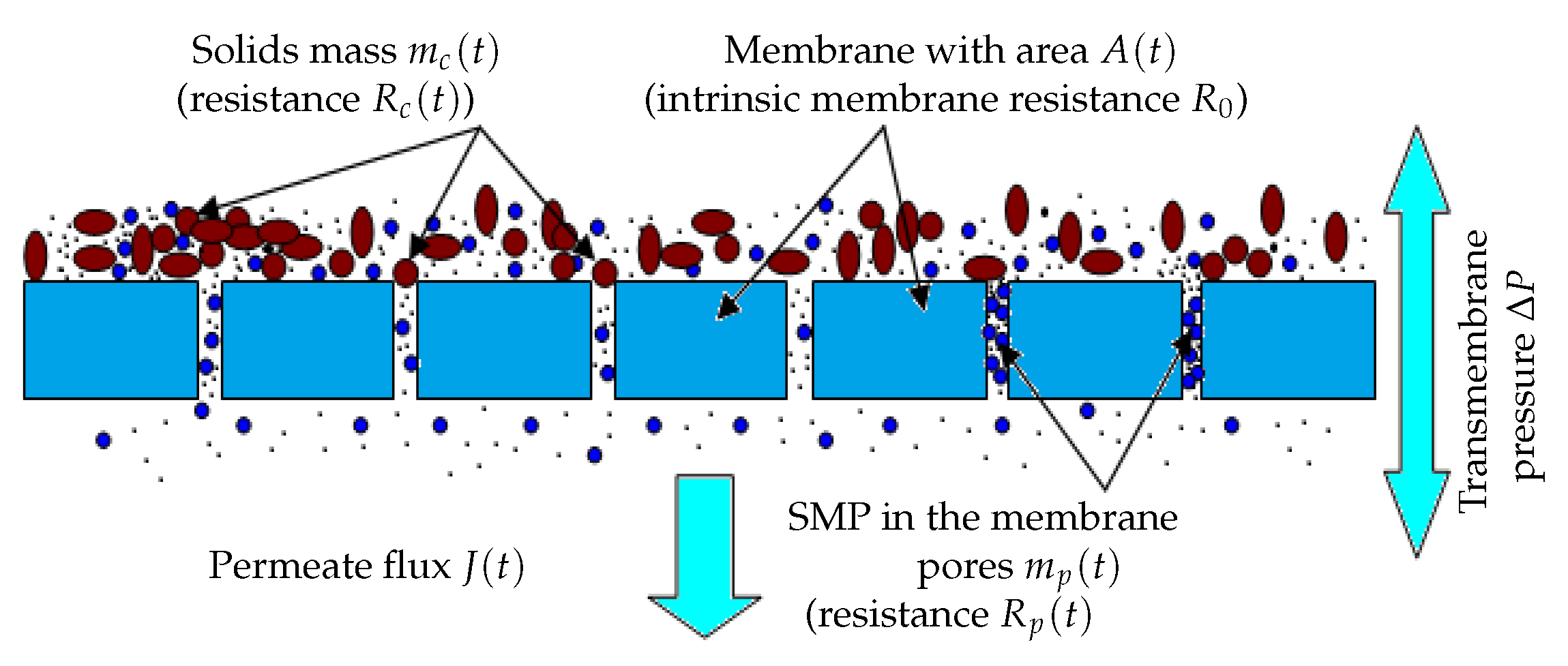 Membranes 14 00069 g001 Membranes 14 00069 g001
