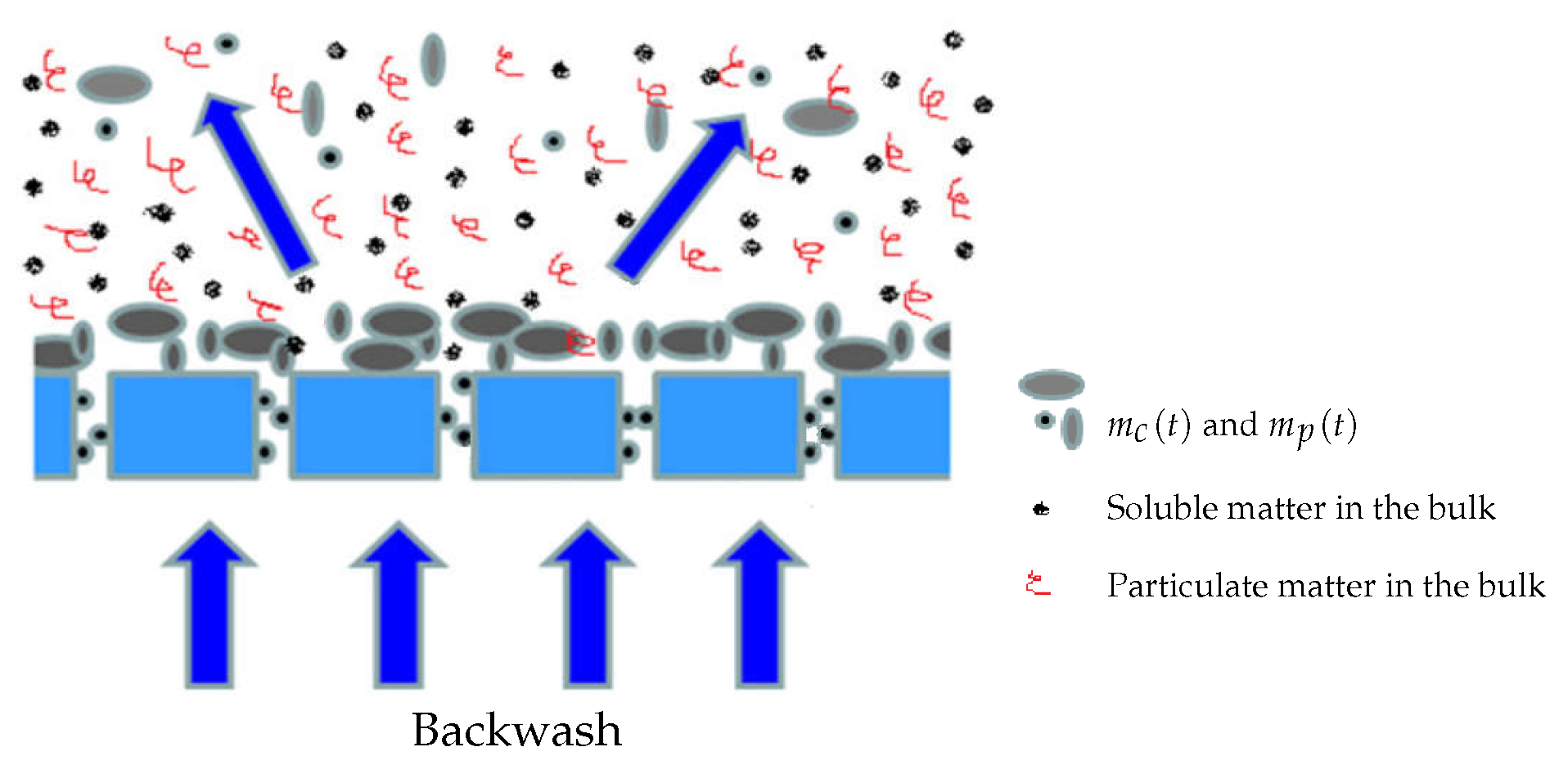 Membranes 14 00069 g003 Membranes 14 00069 g003