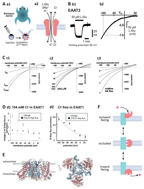 Membranes 14 00077 g001