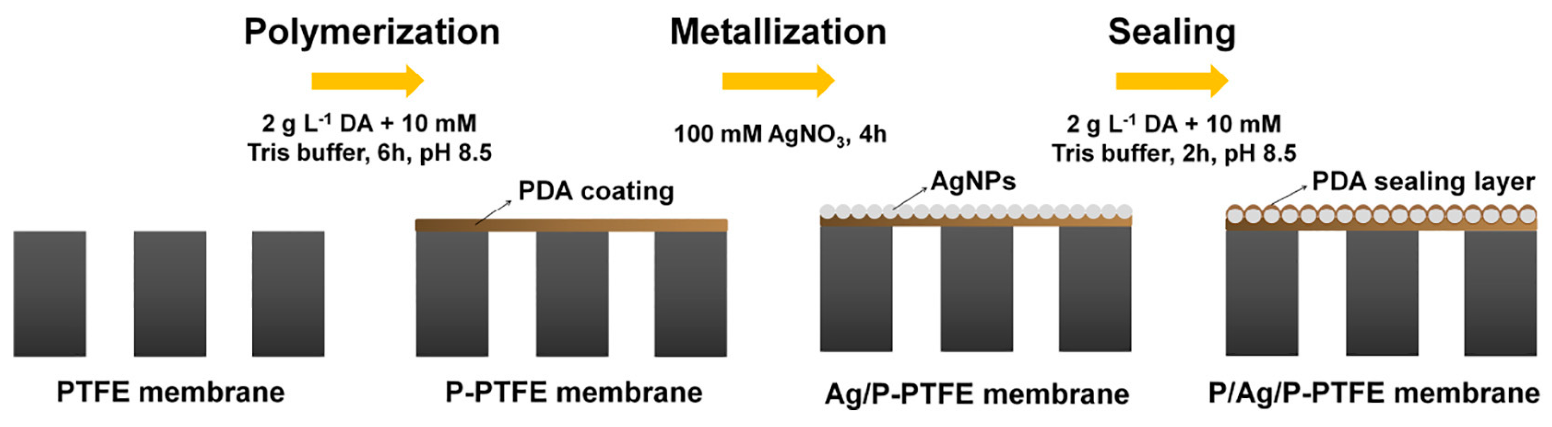 Membranes 14 00081 g004 Membranes 14 00081 g004