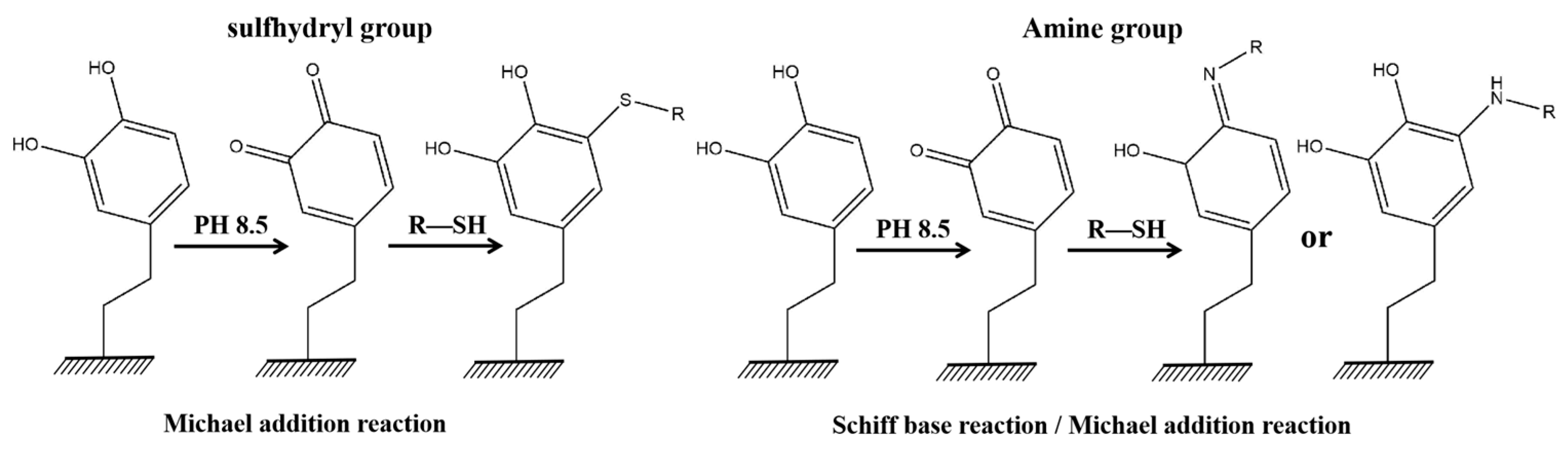 Membranes 14 00081 g007 Membranes 14 00081 g007