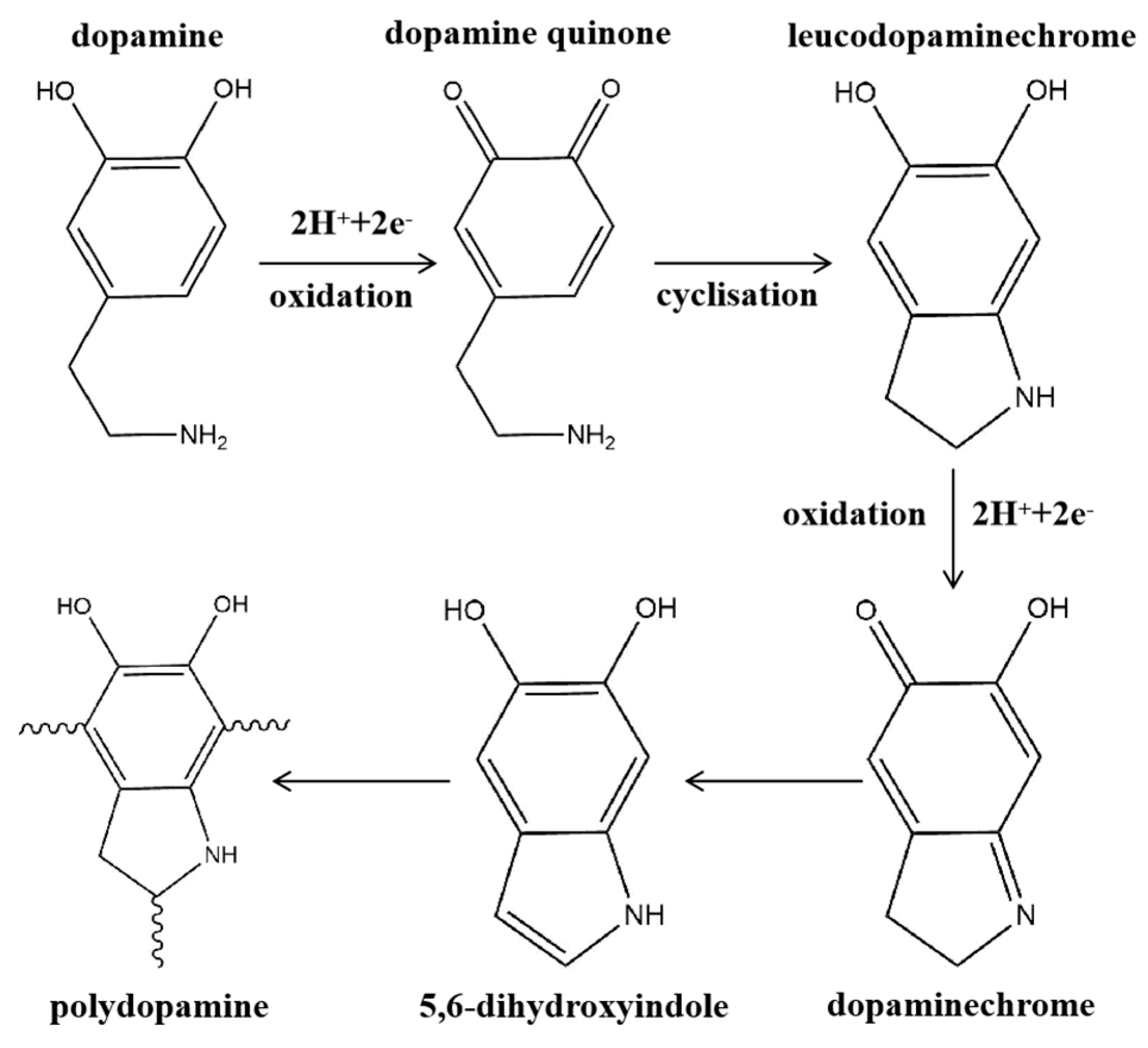Membranes 14 00081 g009 Membranes 14 00081 g009