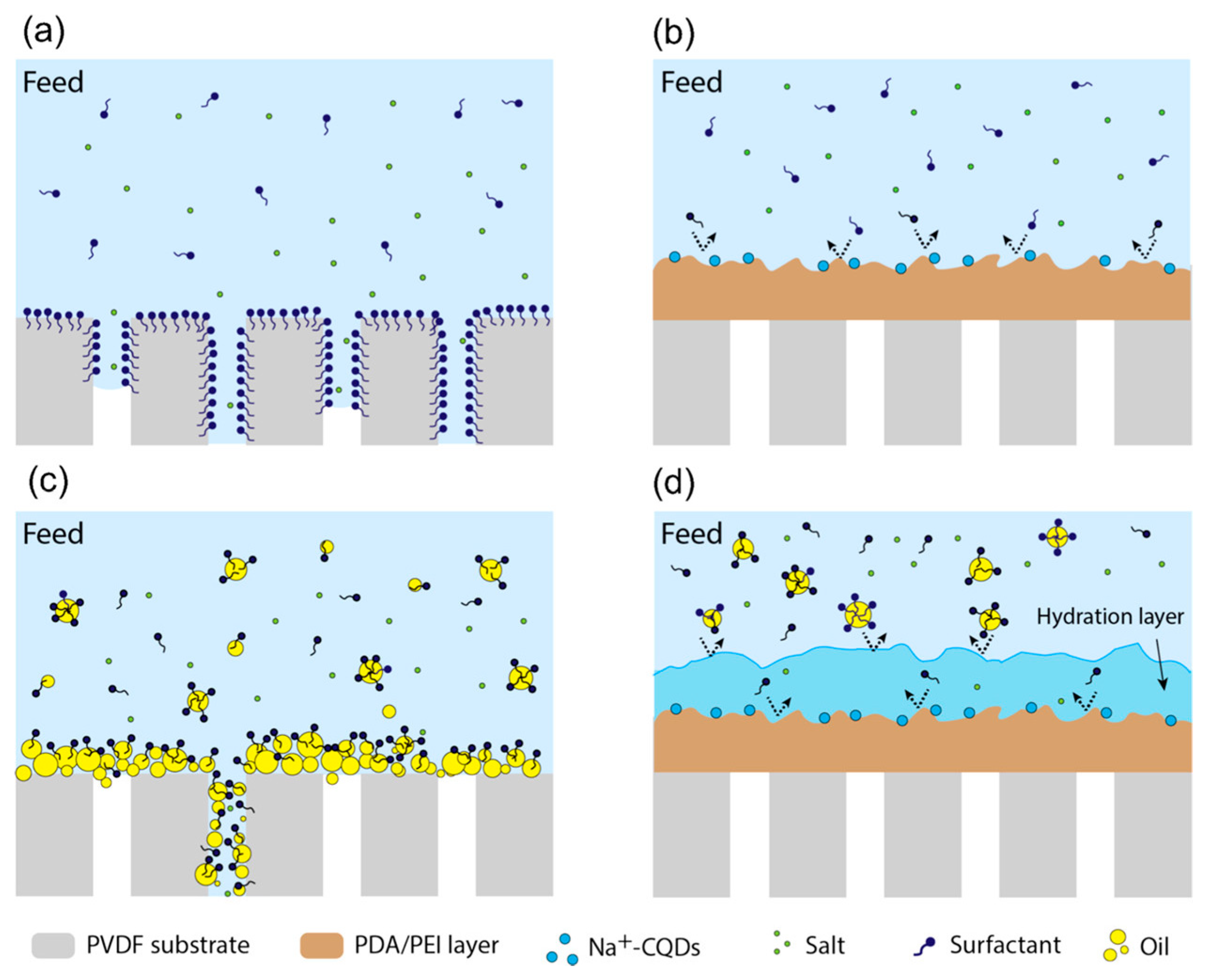 Membranes 14 00081 g010 Membranes 14 00081 g010