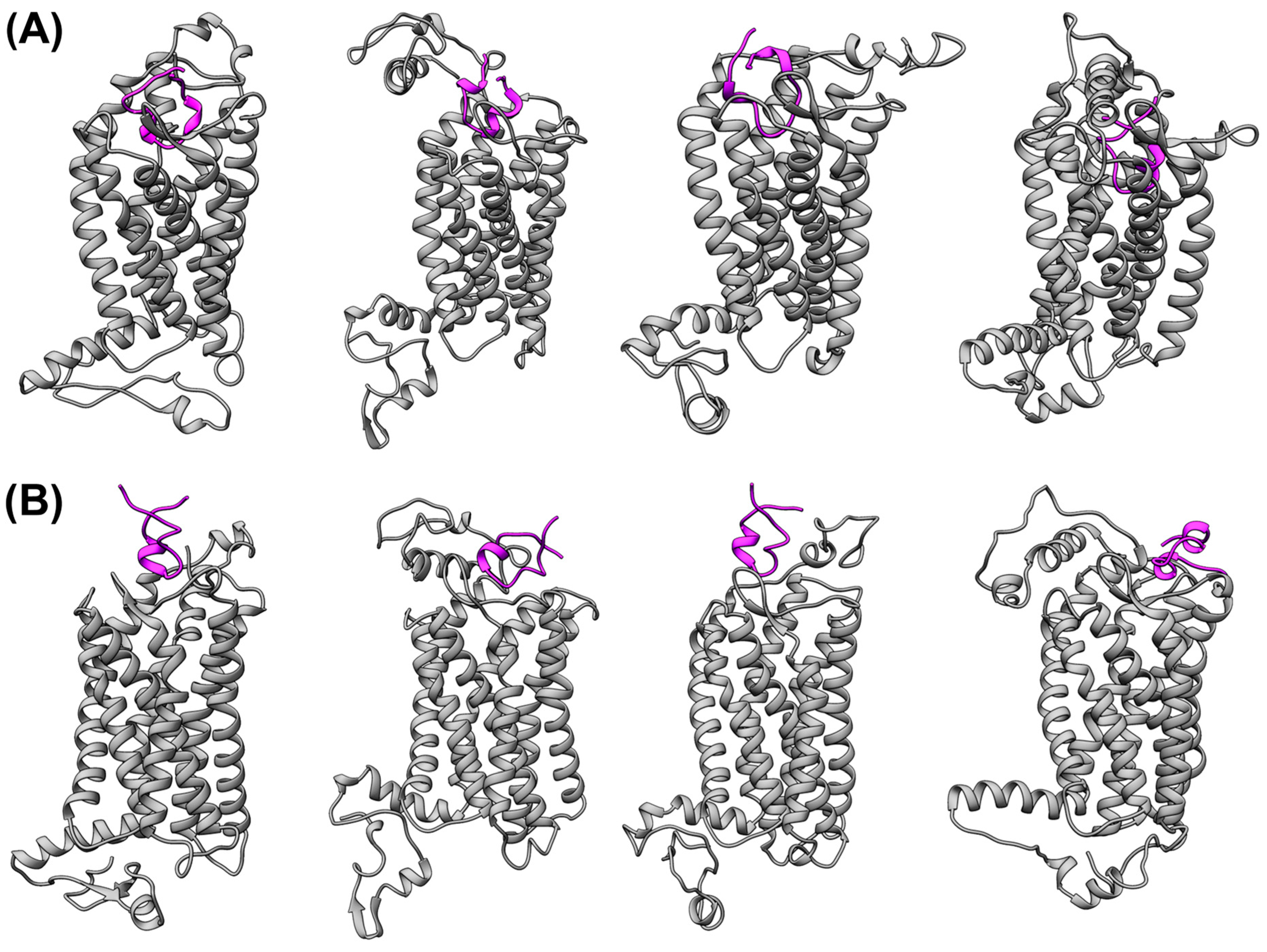 Membranes 14 00084 g002 Membranes 14 00084 g002