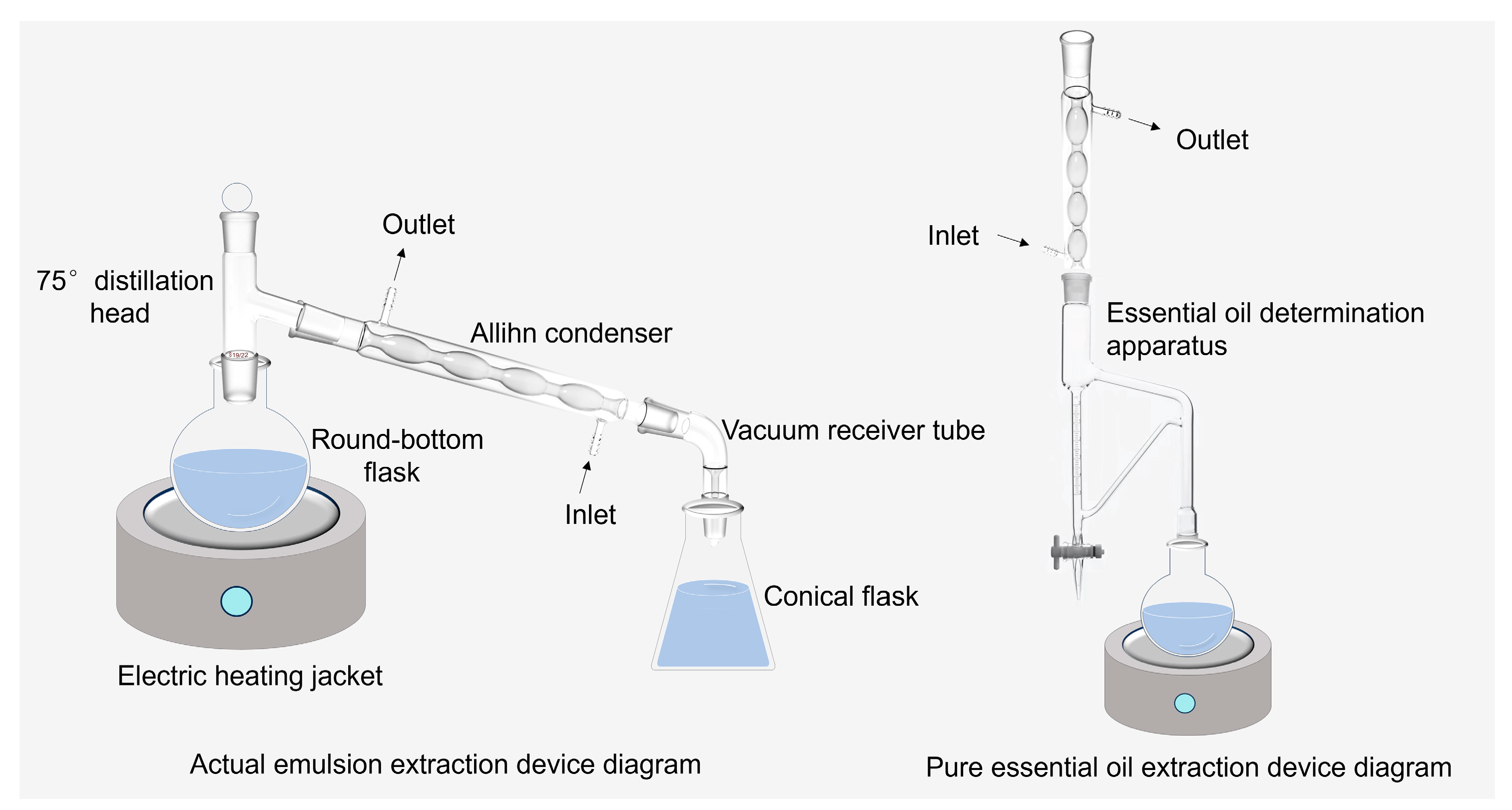 Membranes 14 00097 g001