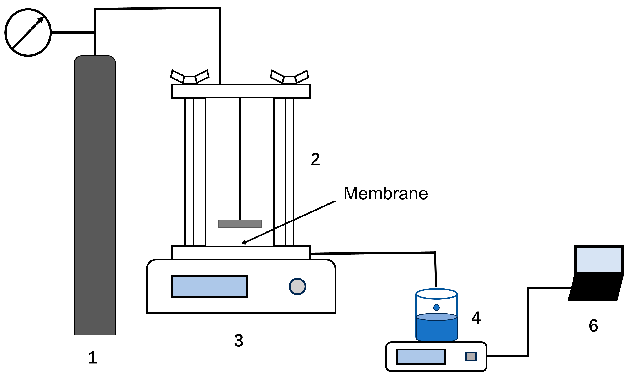 Membranes 14 00097 g002