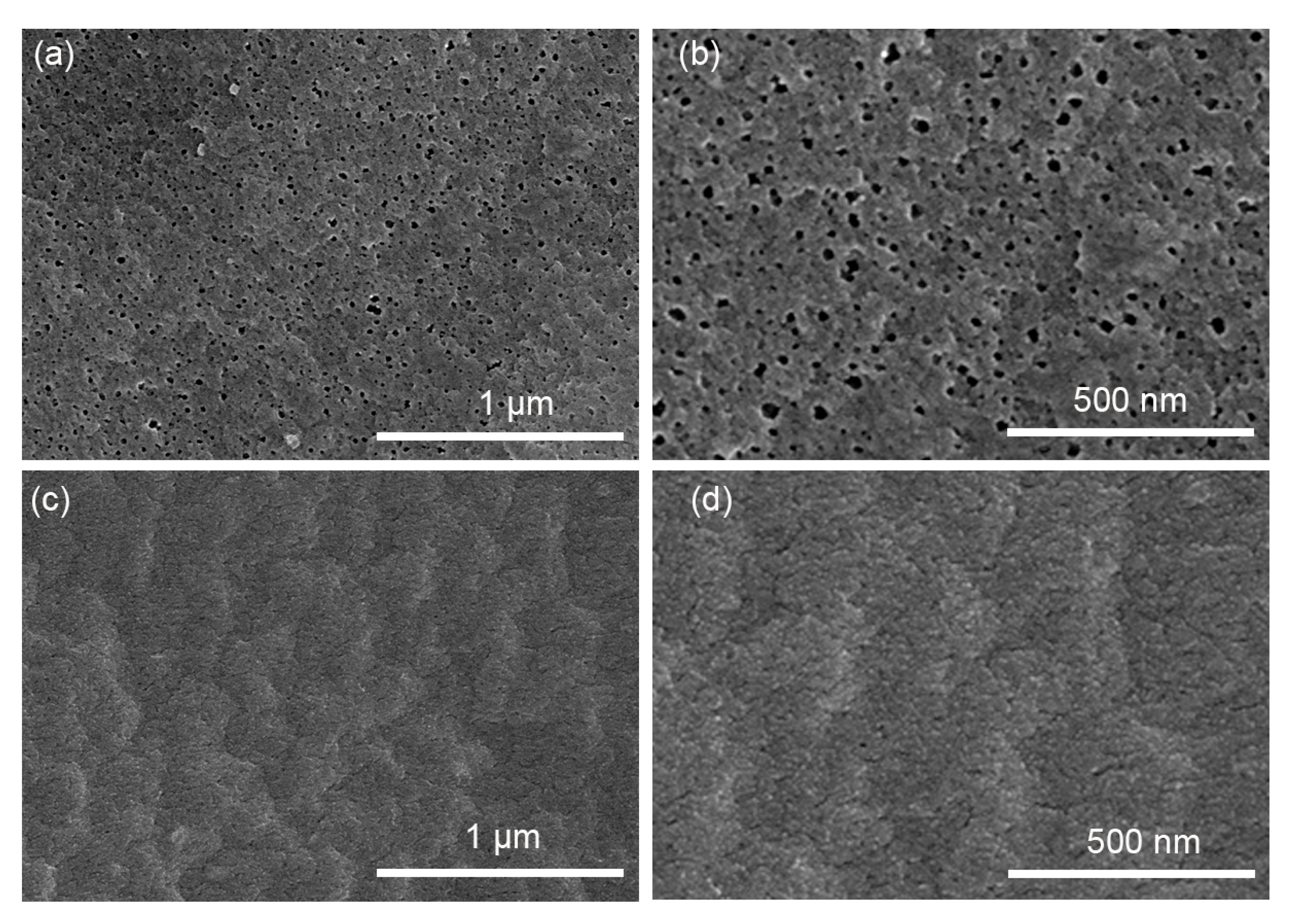 Membranes 14 00097 g008