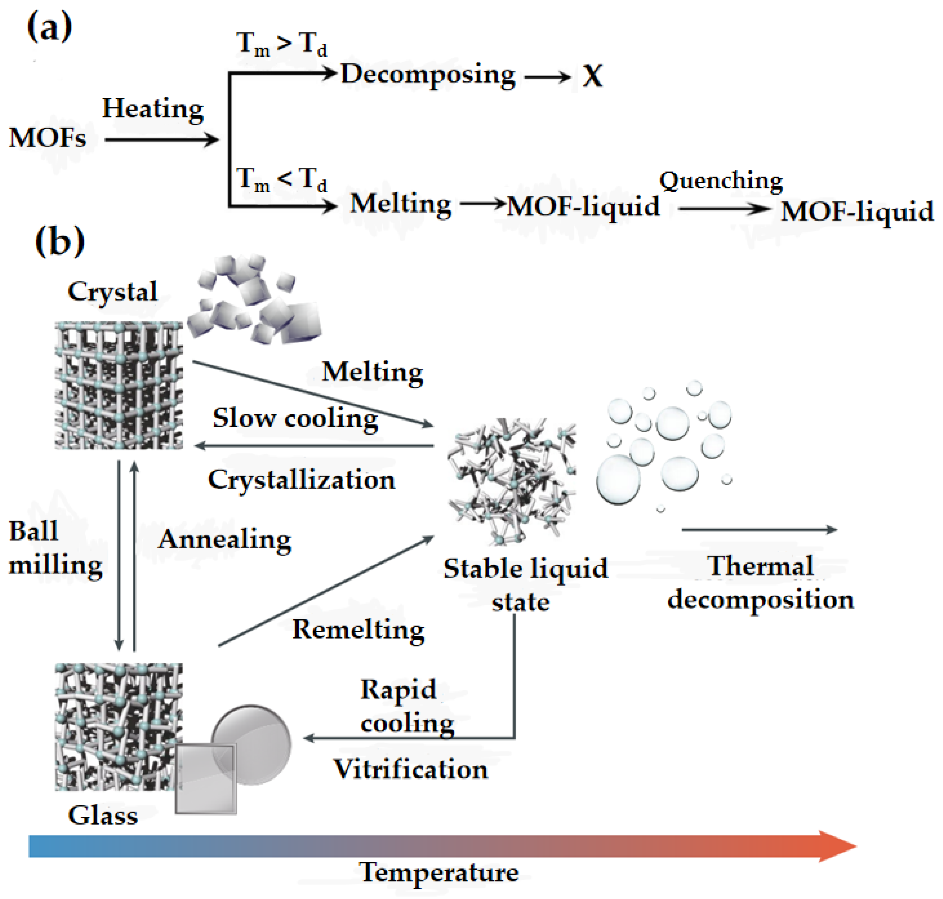 Membranes 14 00099 g002