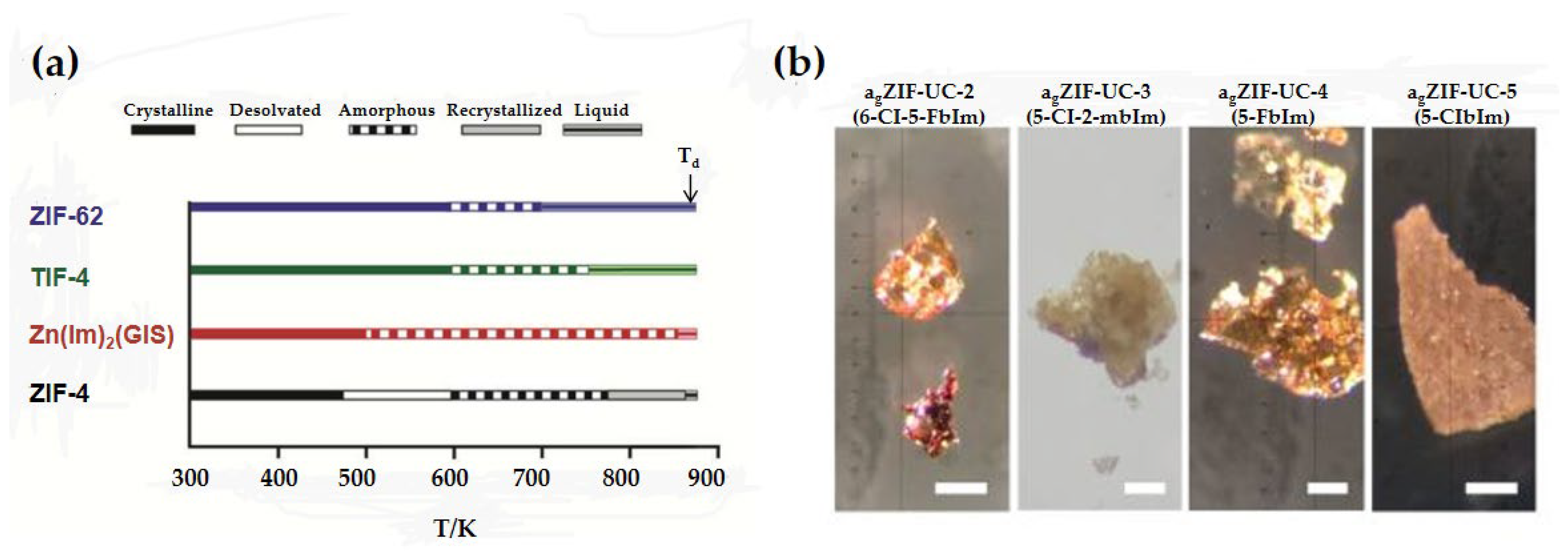 Membranes 14 00099 g003