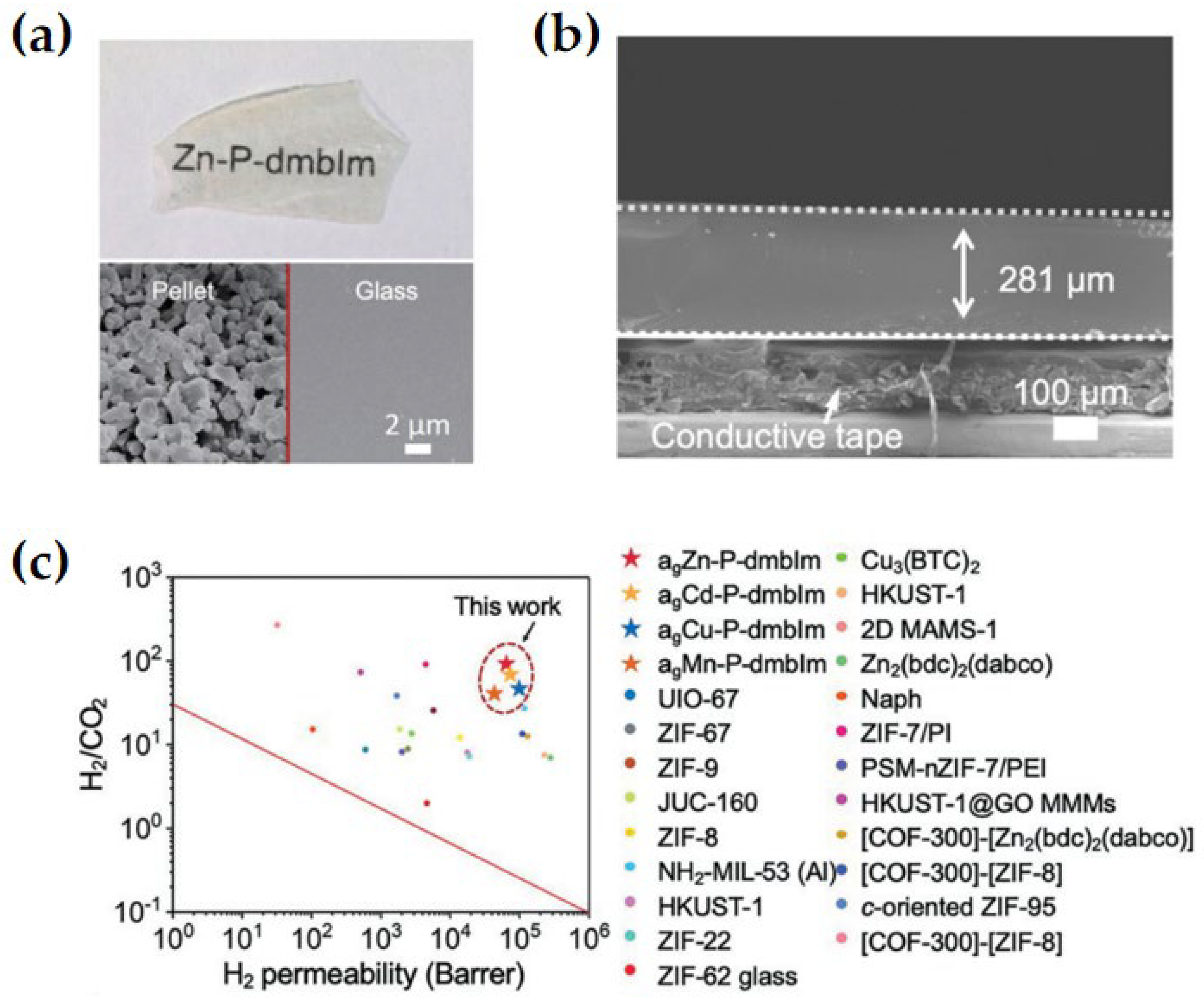 Membranes 14 00099 g009
