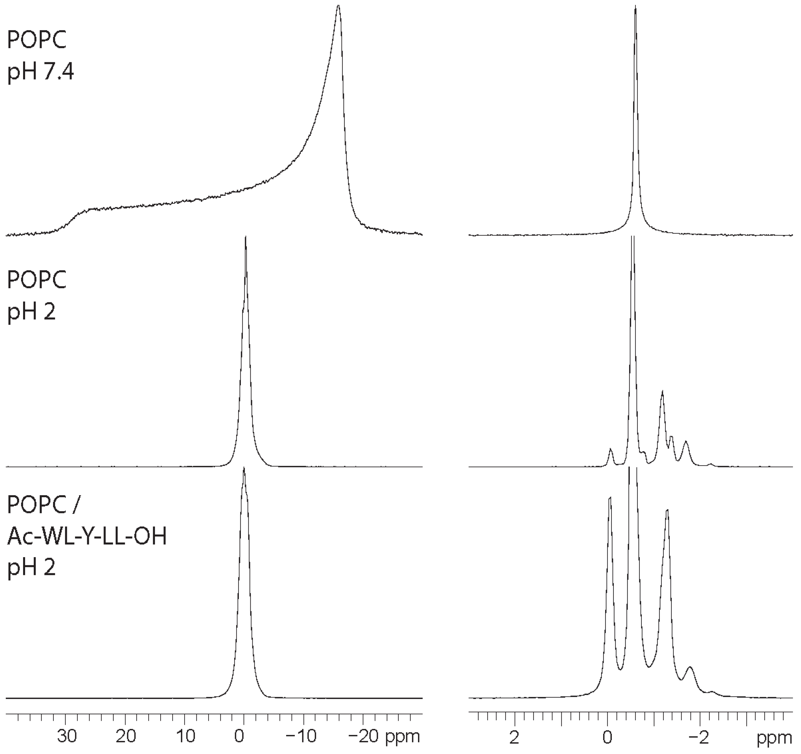 Membranes 14 00105 g002