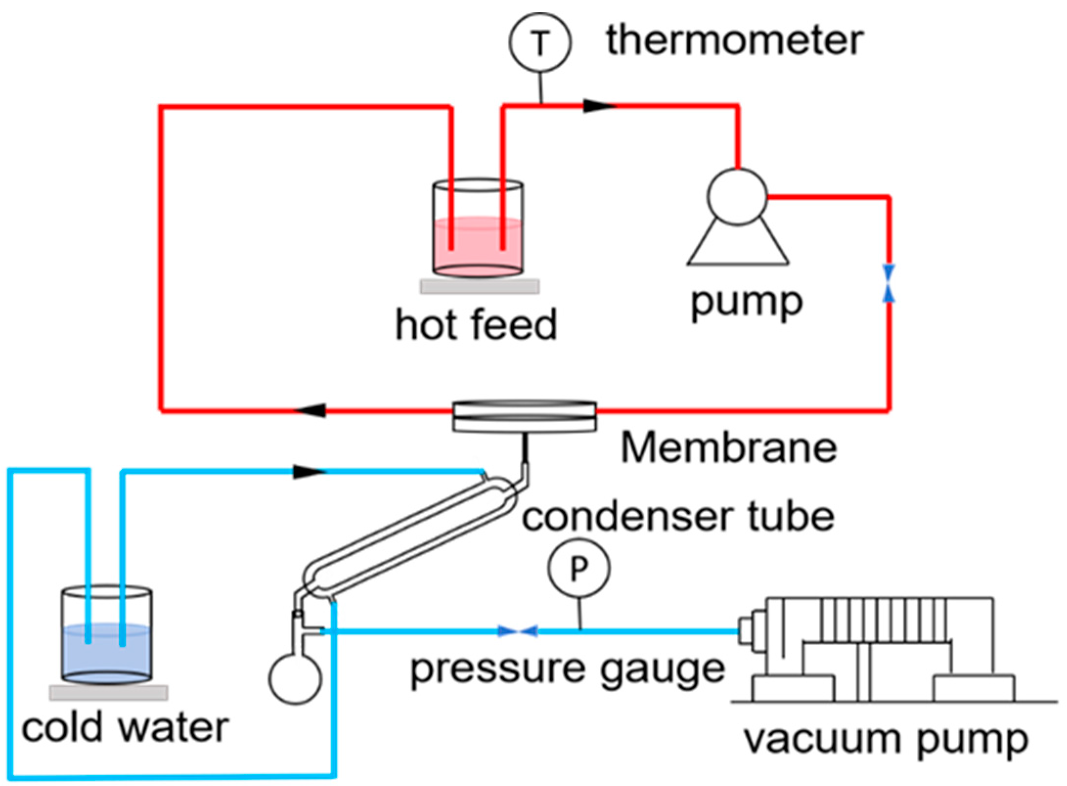 Membranes 14 00117 g002