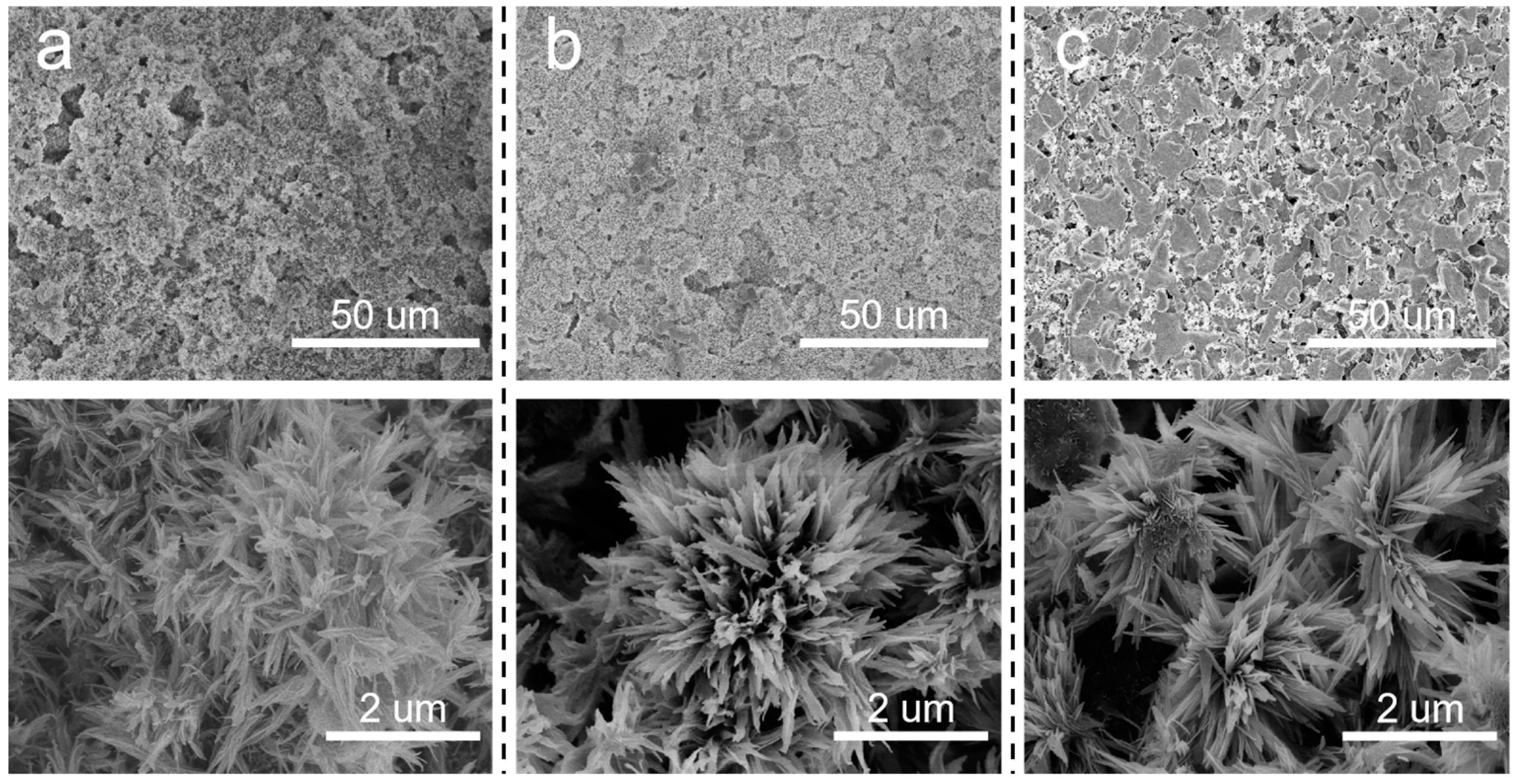Membranes 14 00117 g006