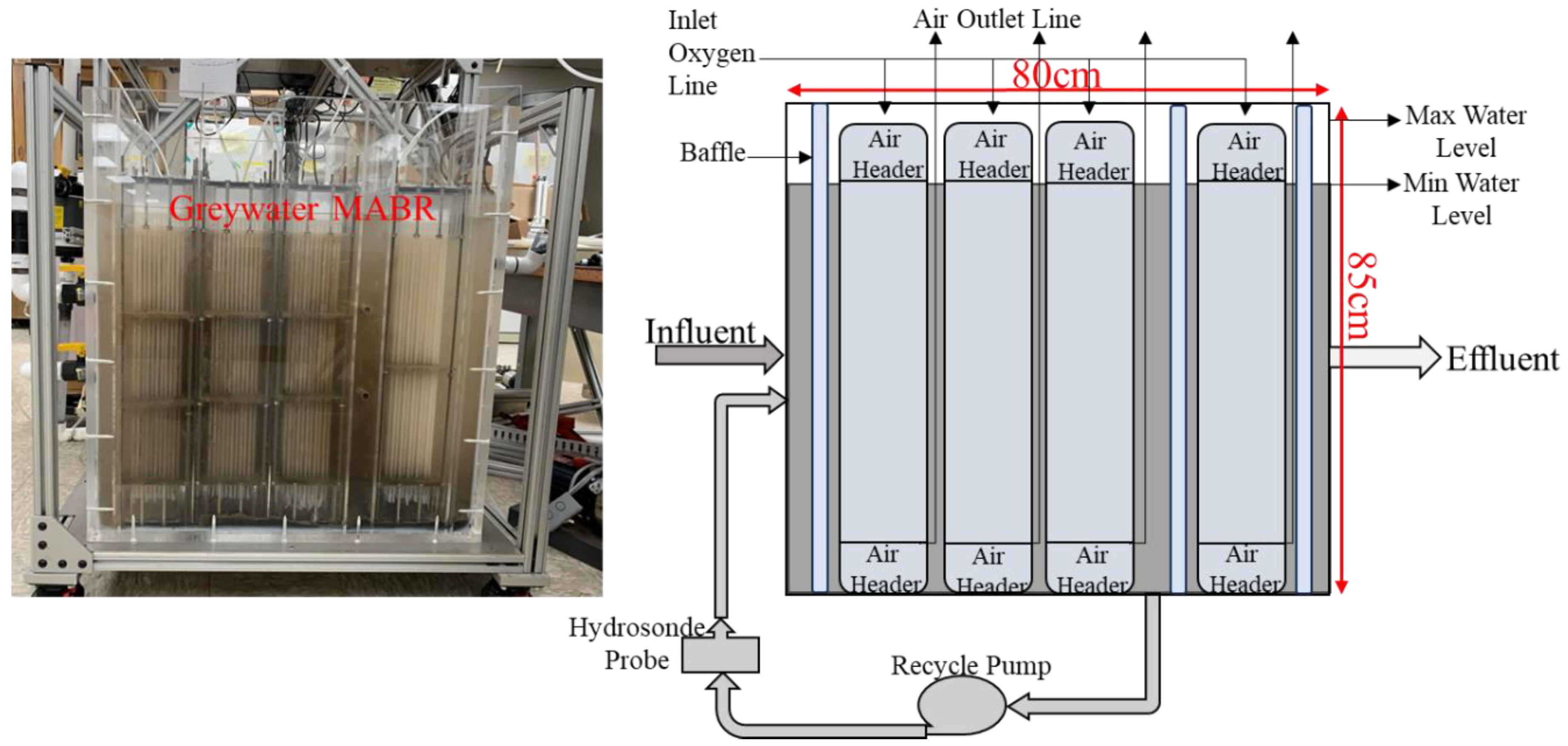Membranes 14 00127 g003