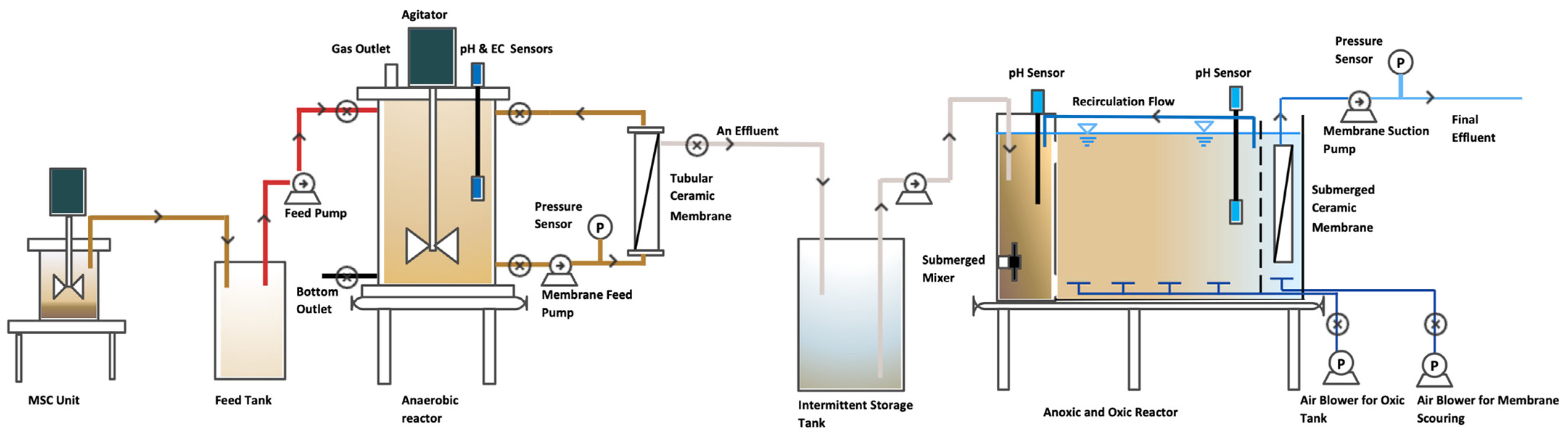 Membranes 14 00130 g001