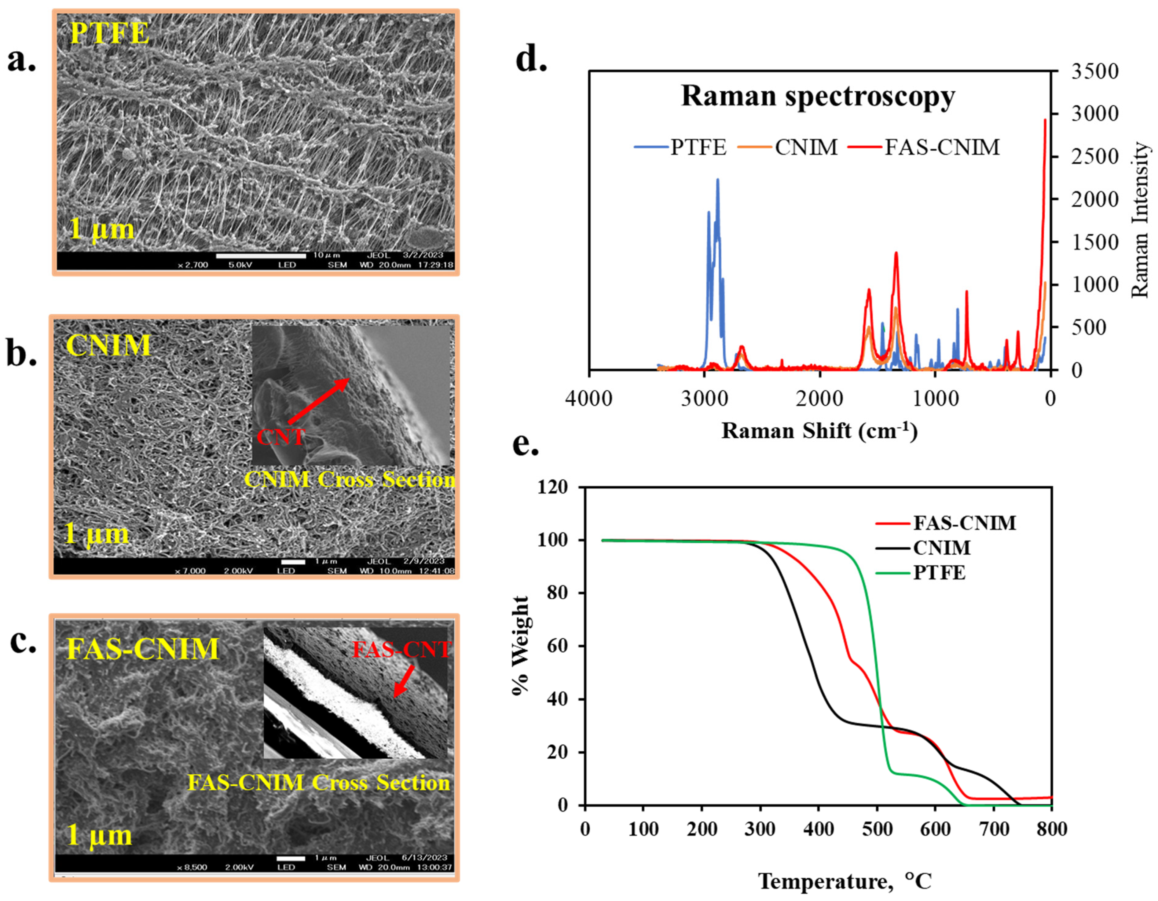 Membranes 14 00152 g004