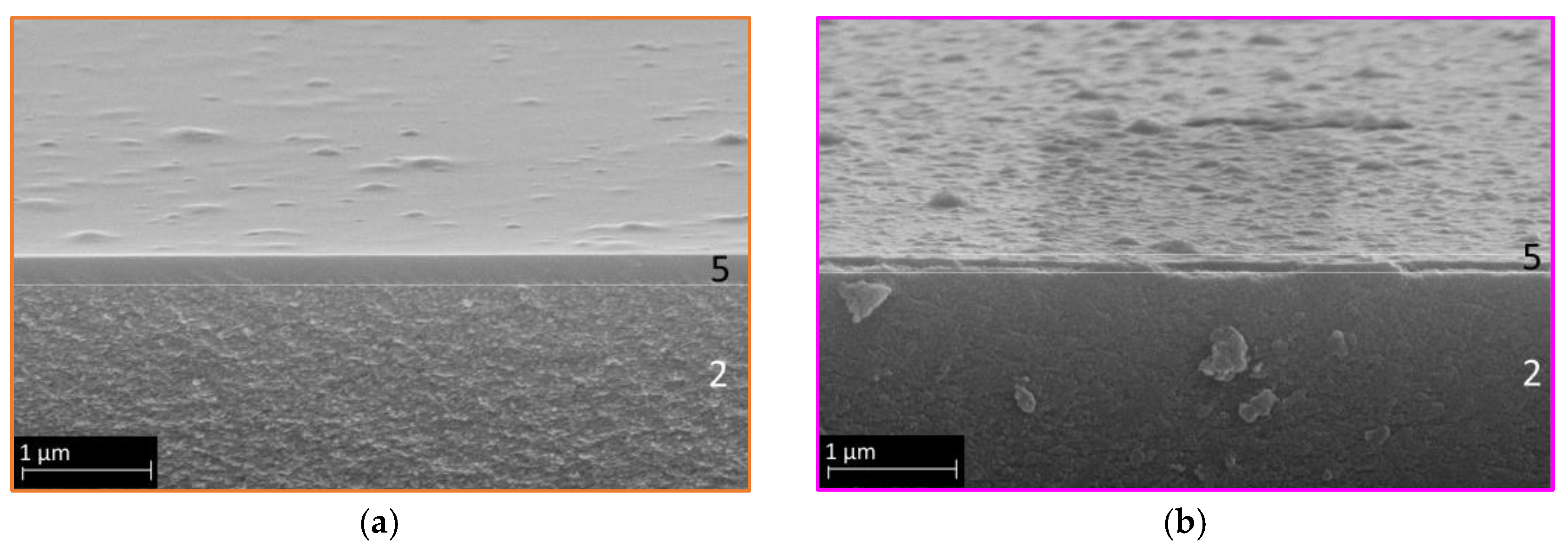 Membranes 14 00156 g007
