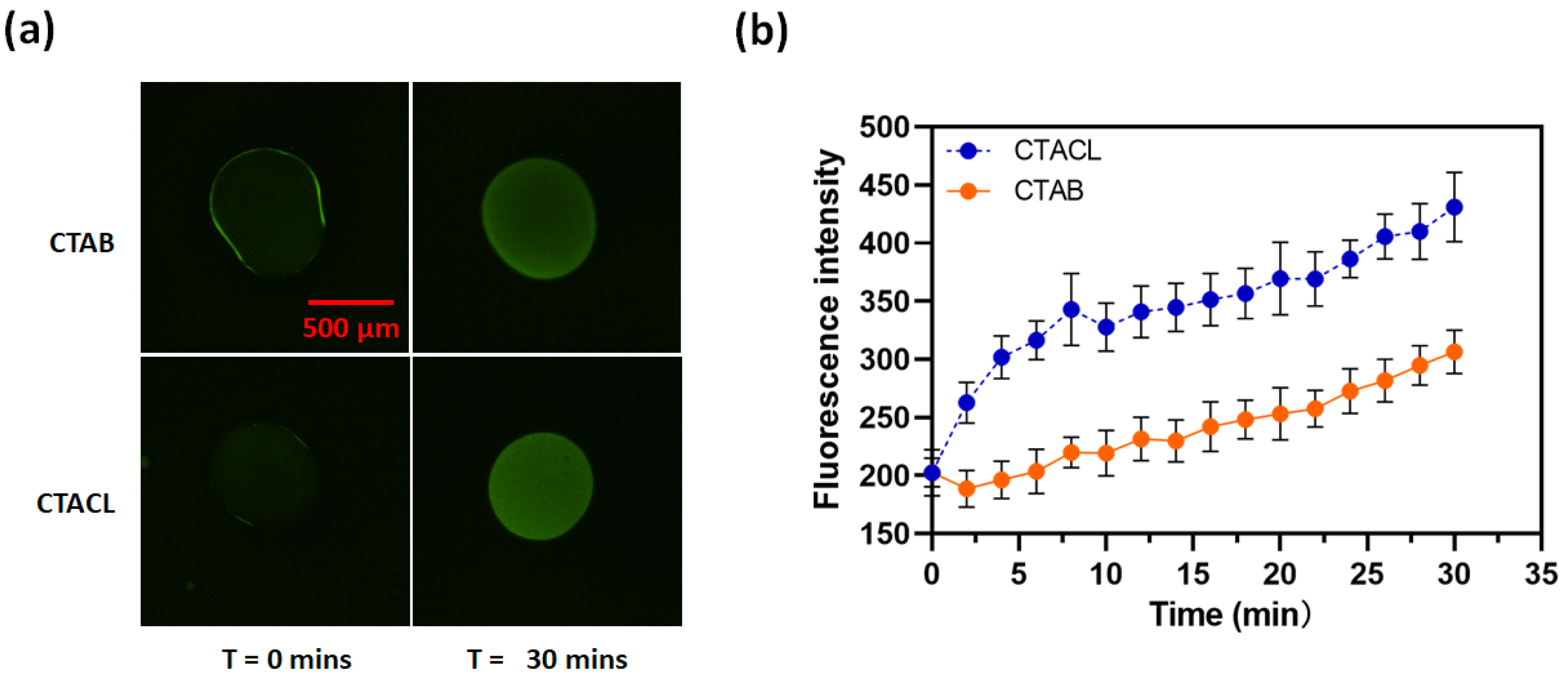 Membranes 14 00168 g003