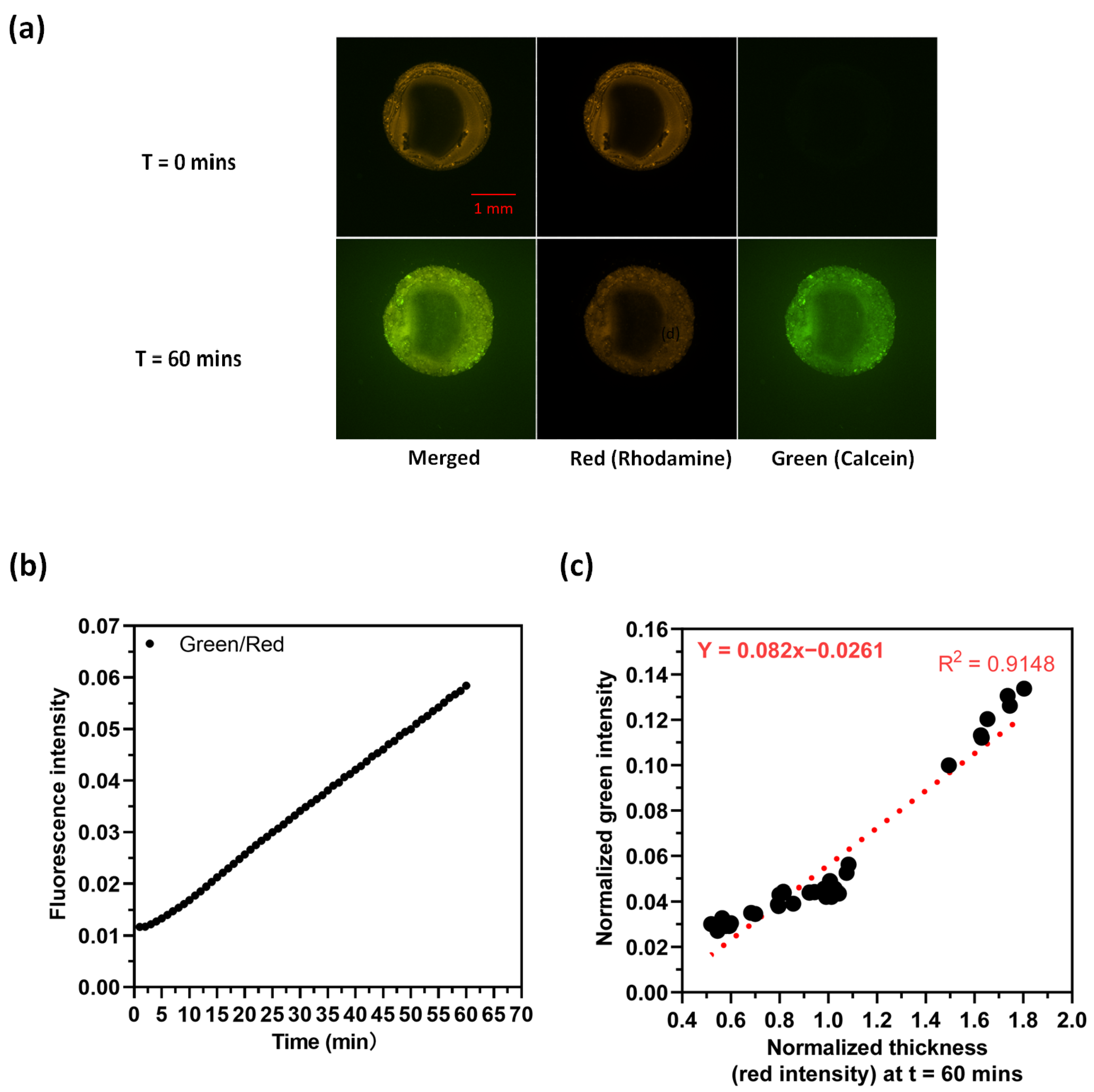 Membranes 14 00168 g004
