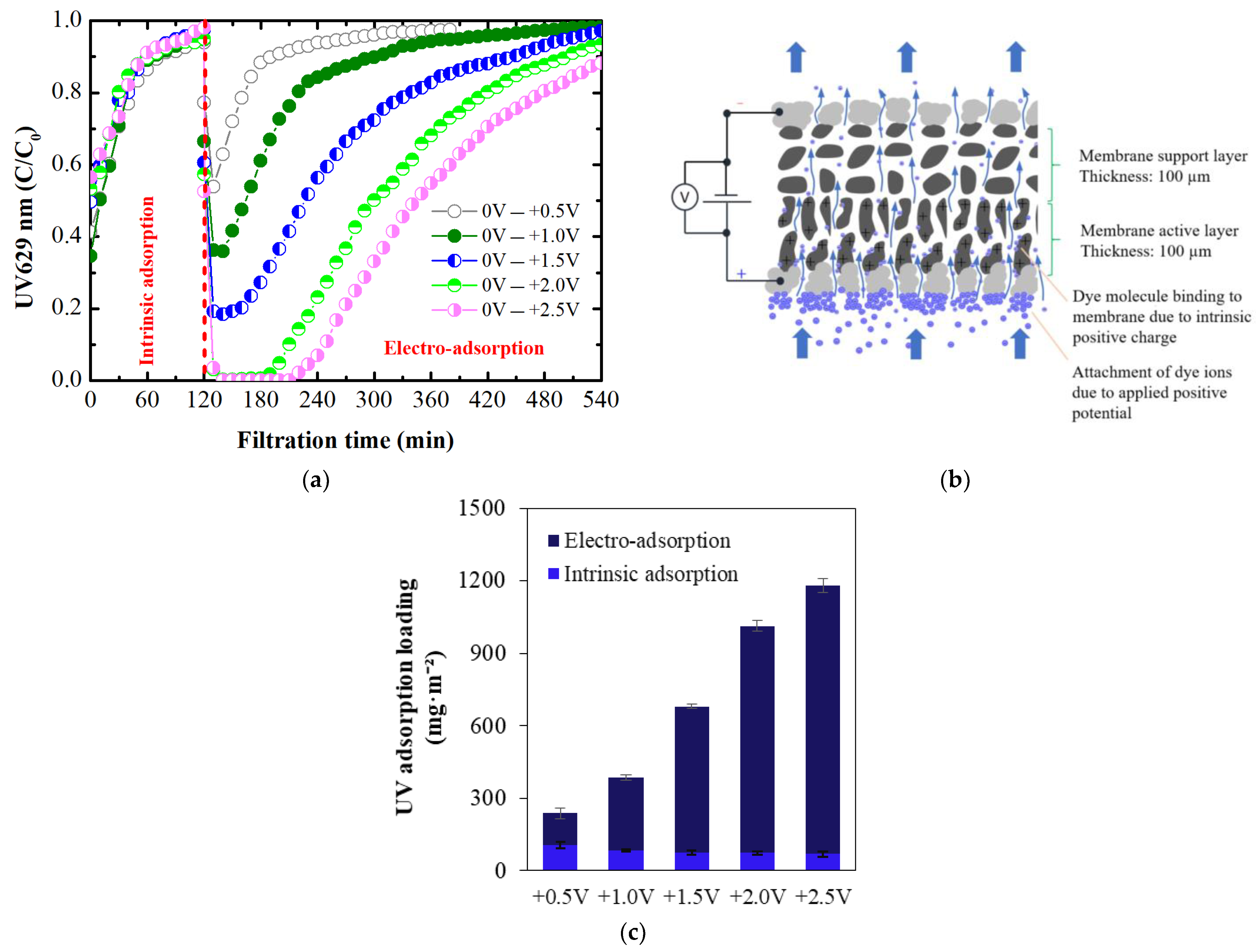Membranes 14 00175 g008