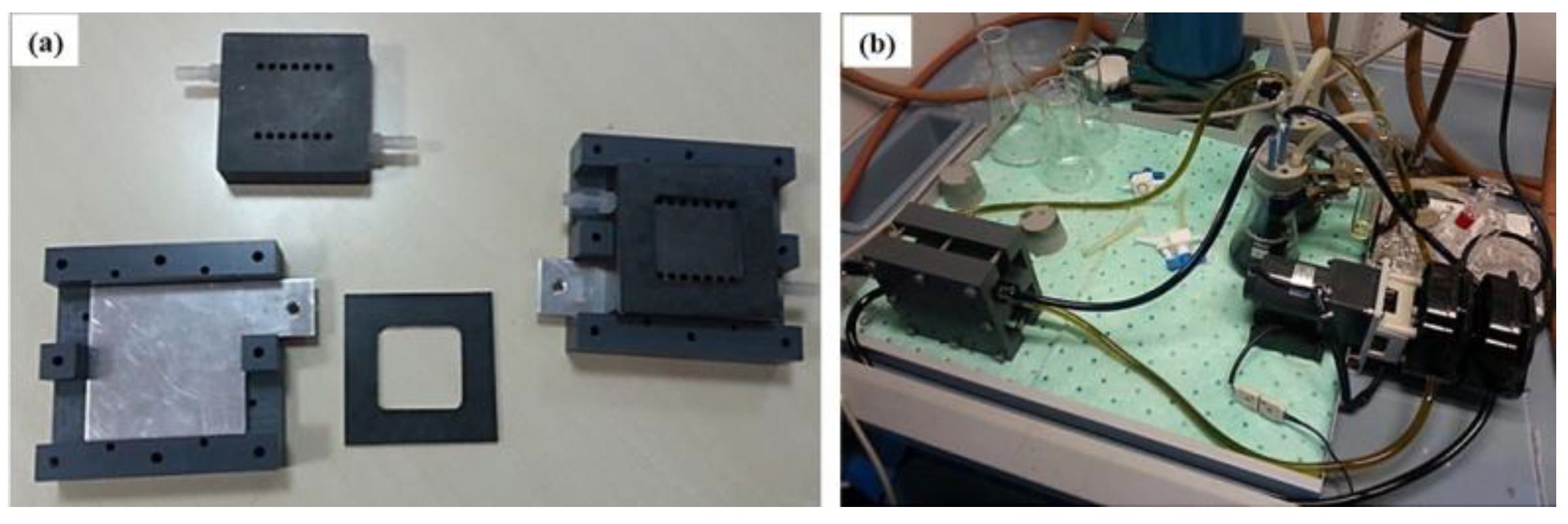 Membranes 14 00176 g001