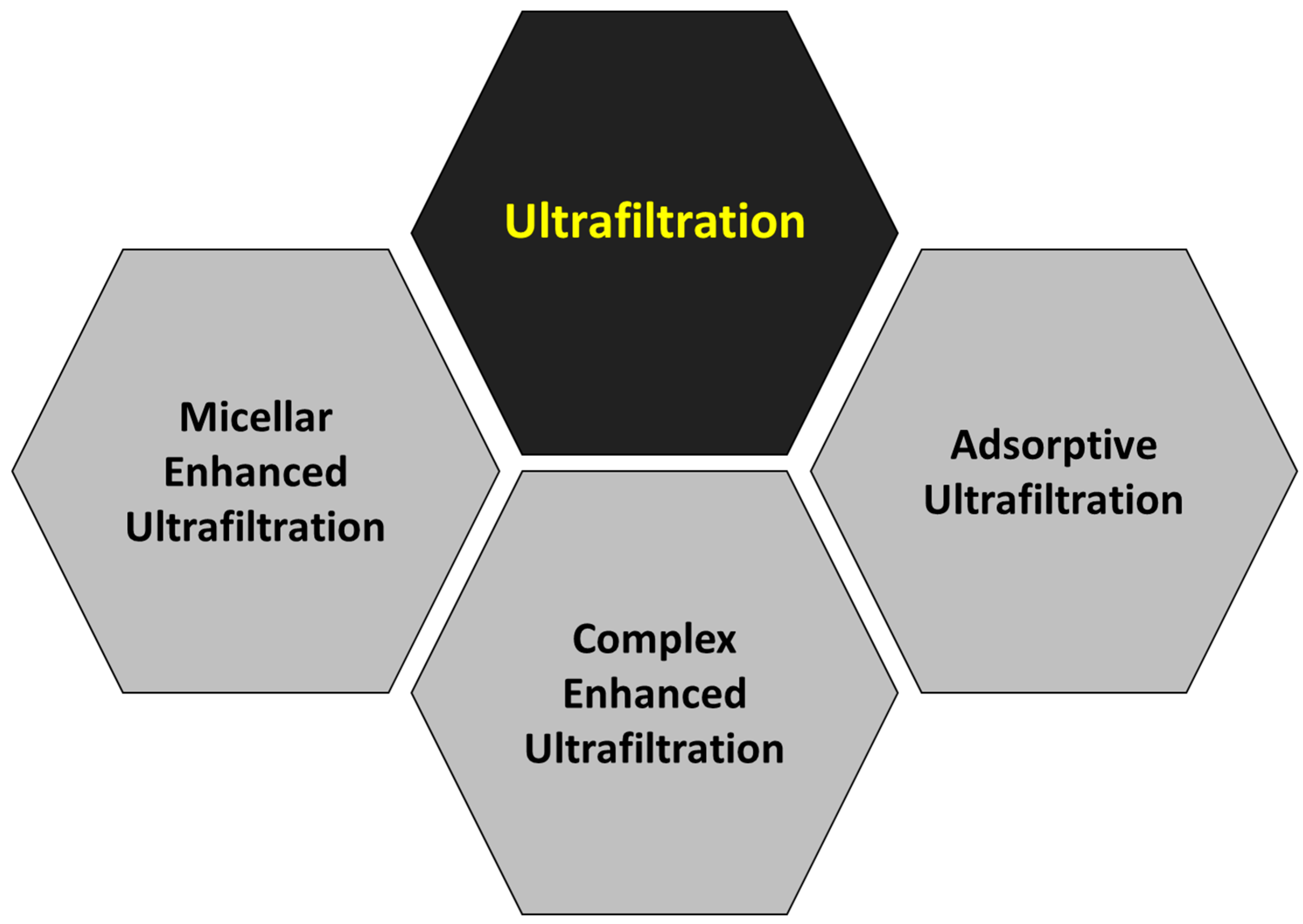 Membranes 14 00180 g010