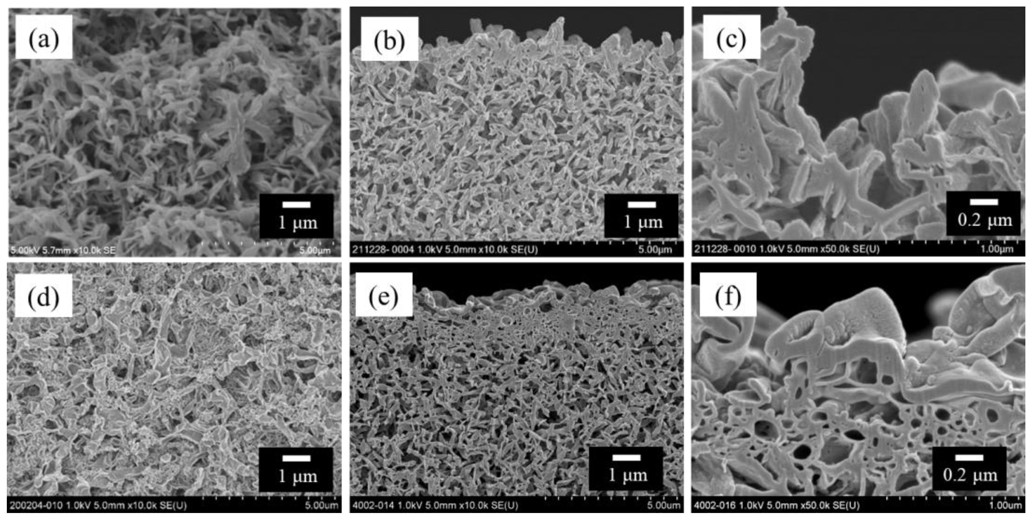 Membranes 14 00187 g002