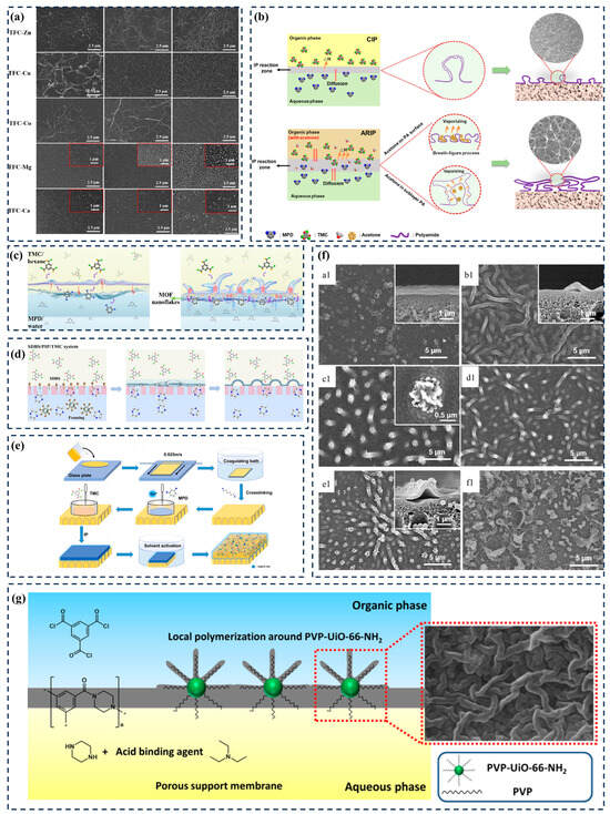 Membranes 14 00201 g003