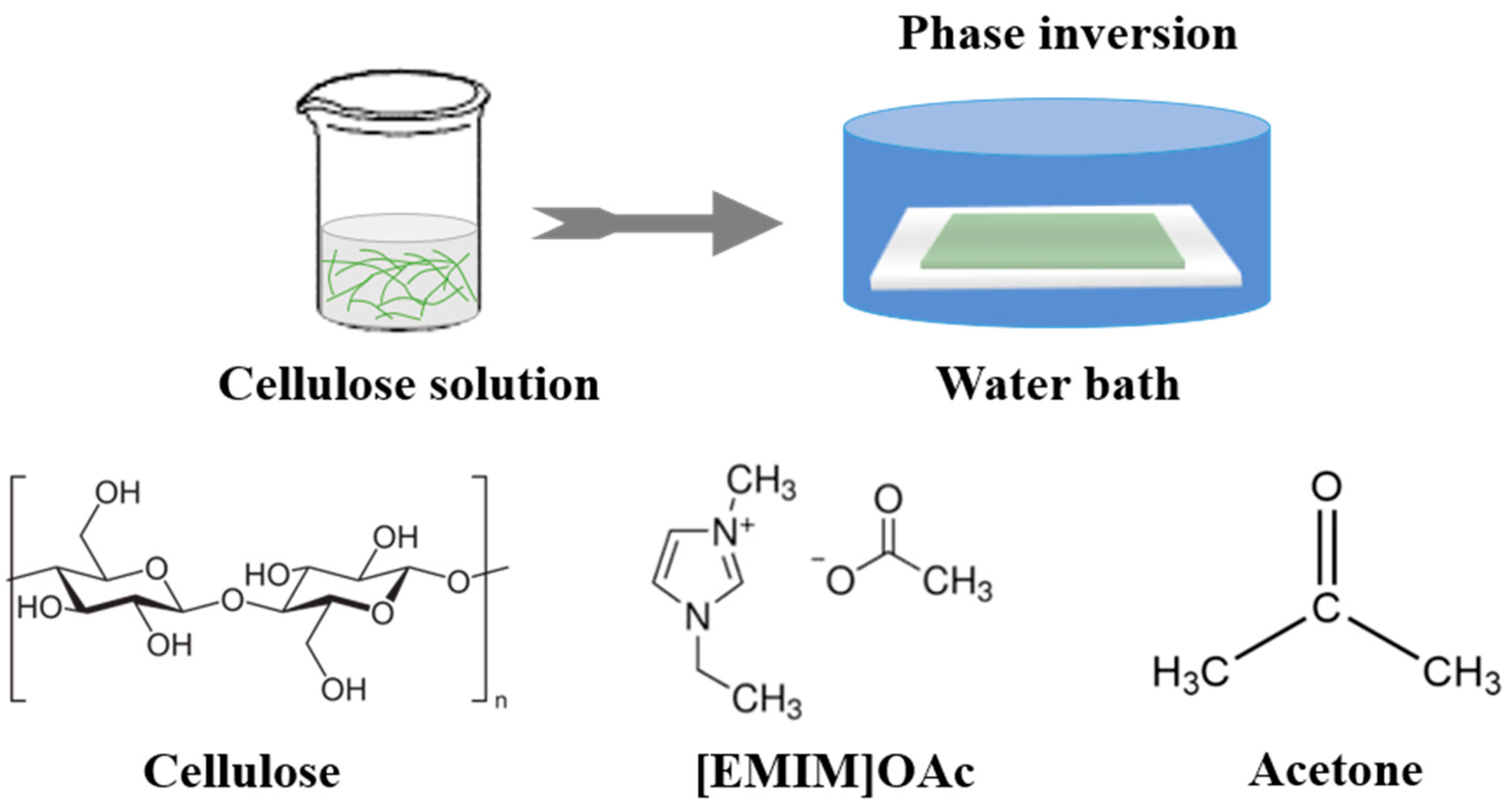 Membranes 14 00202 g001