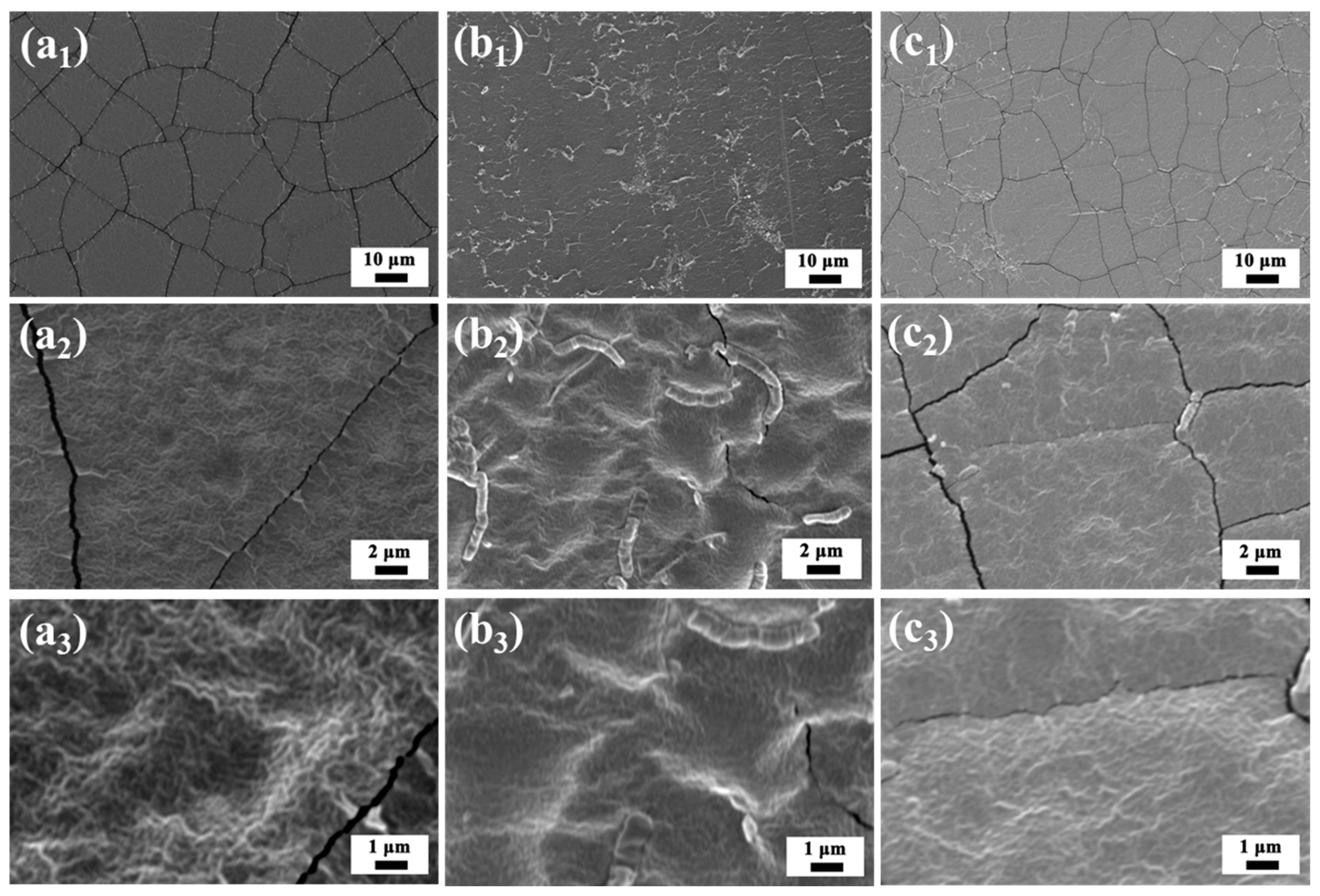 Membranes 14 00202 g004