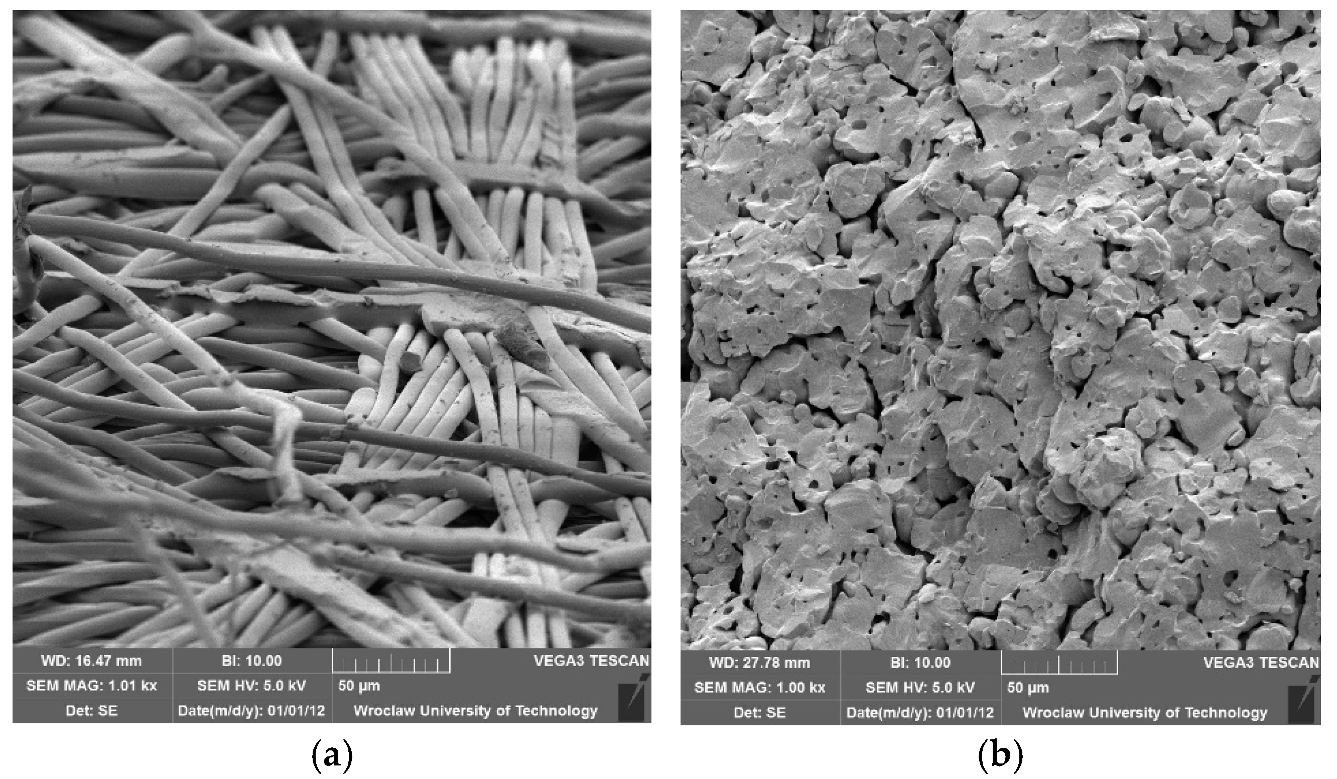Membranes 14 00203 g001