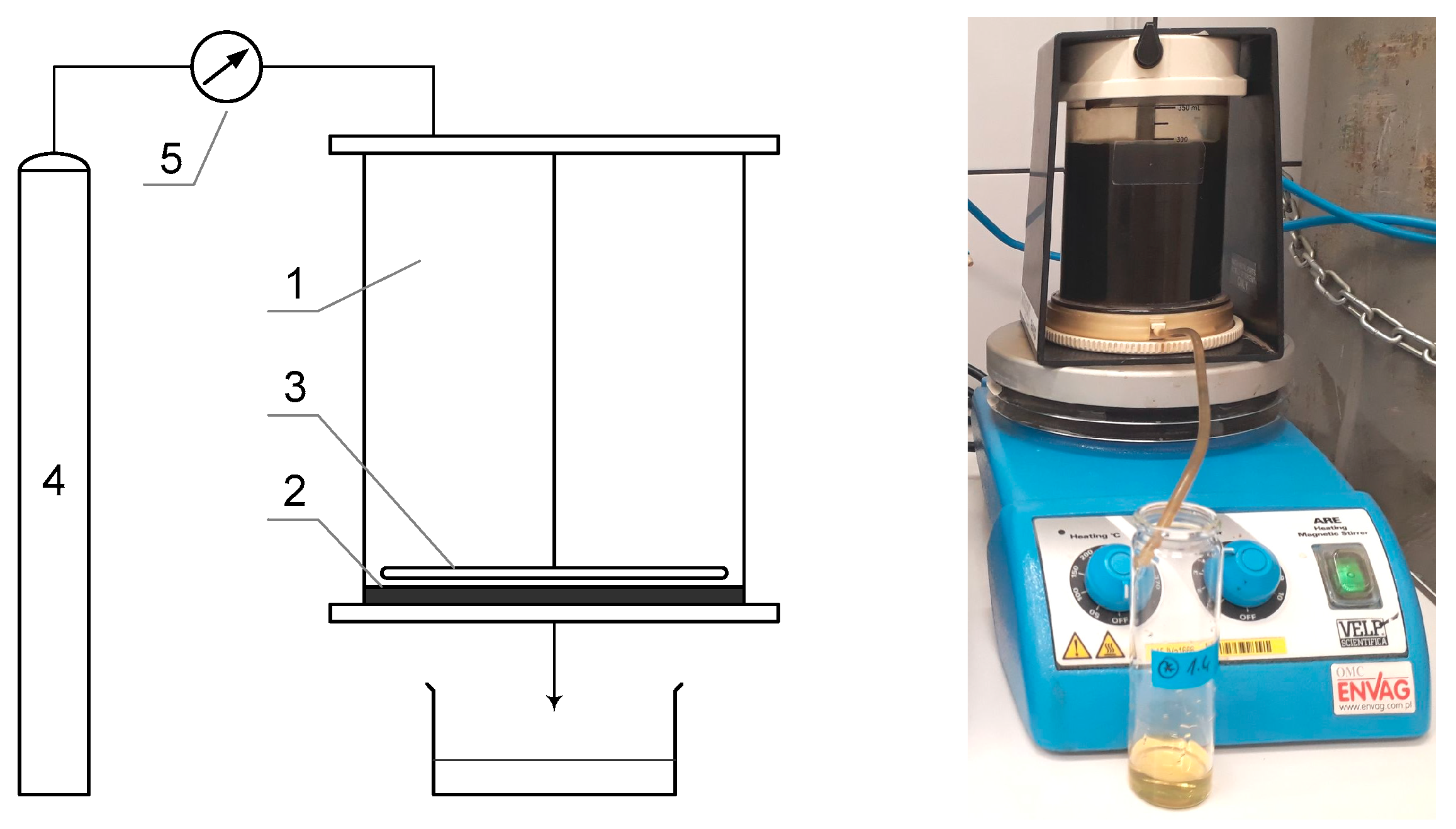 Membranes 14 00203 g002
