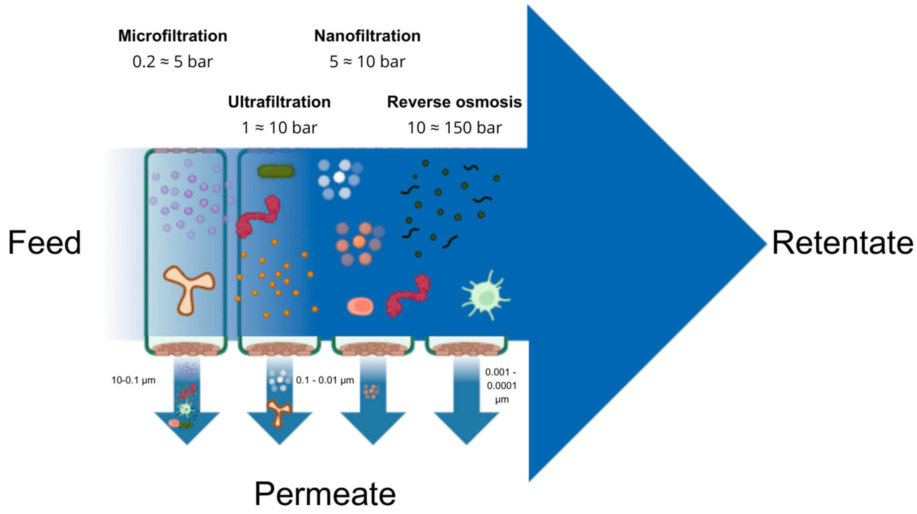 Membranes 14 00209 g003