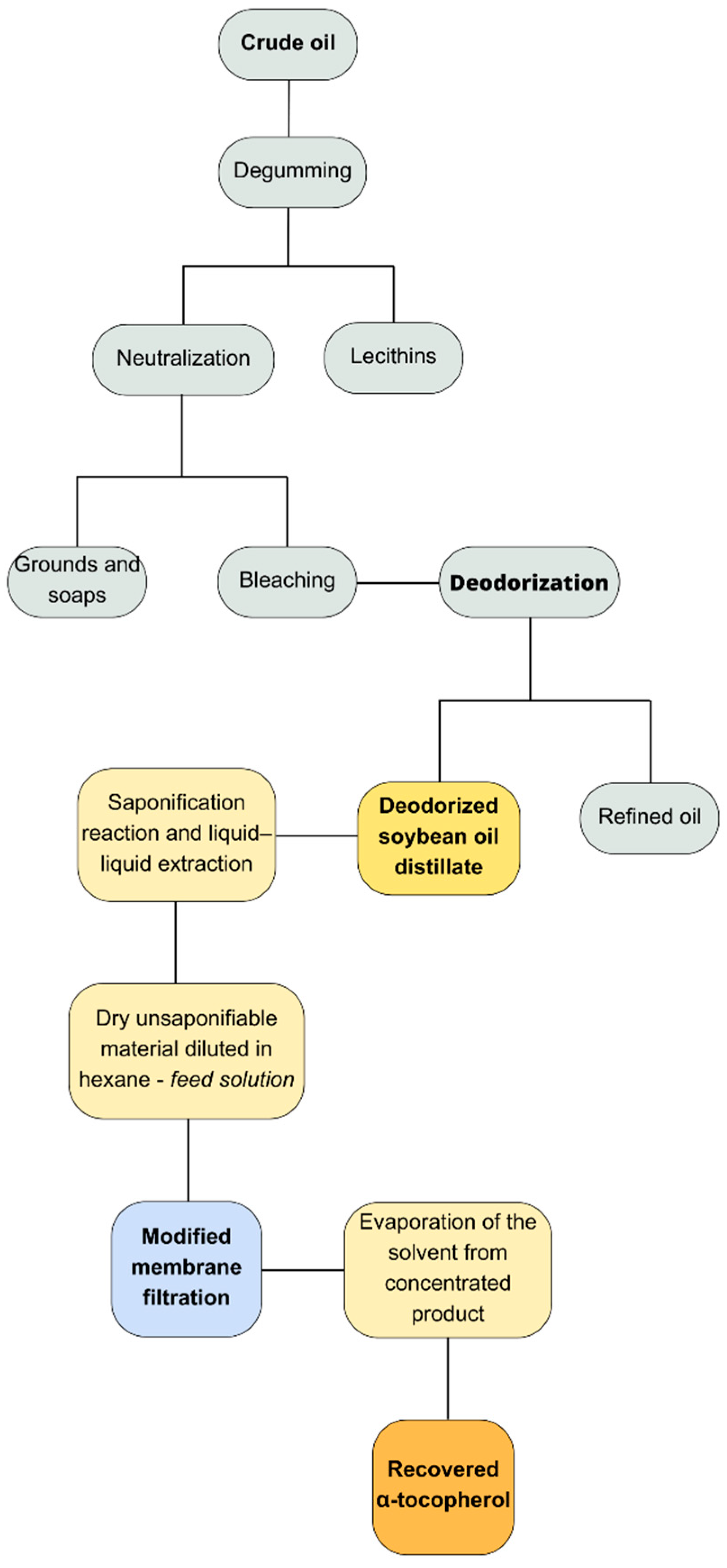 Membranes 14 00209 g006