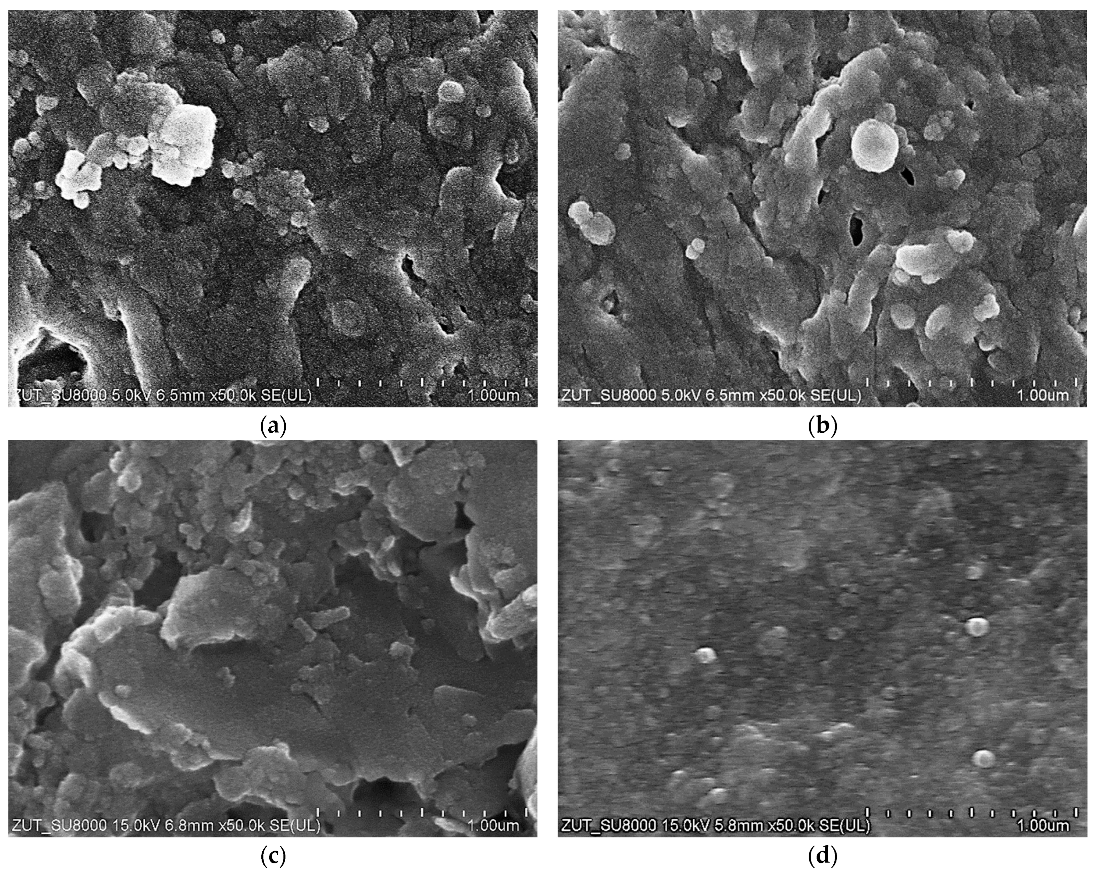 Membranes 14 00210 g006