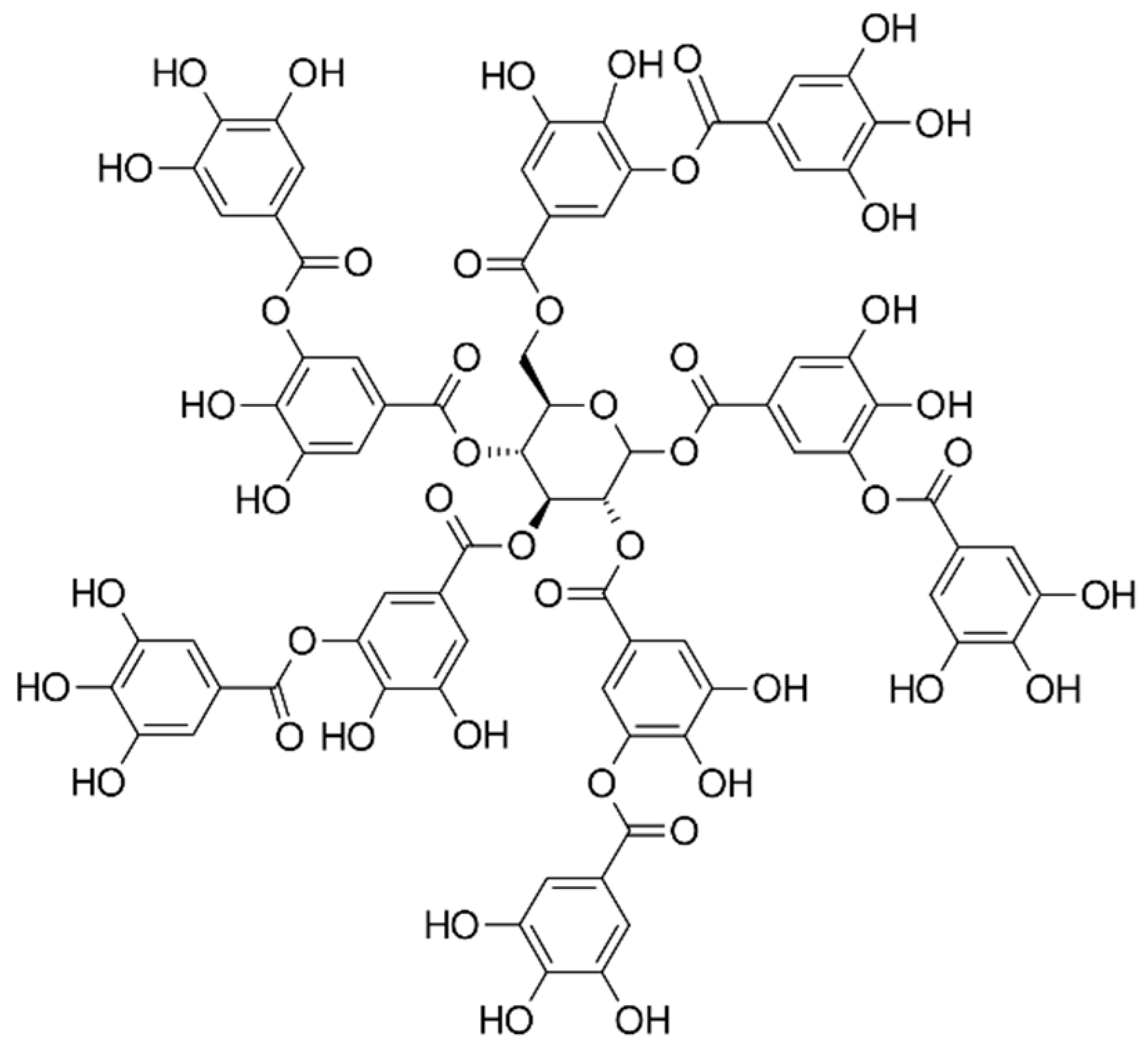 Membranes 14 00213 g001