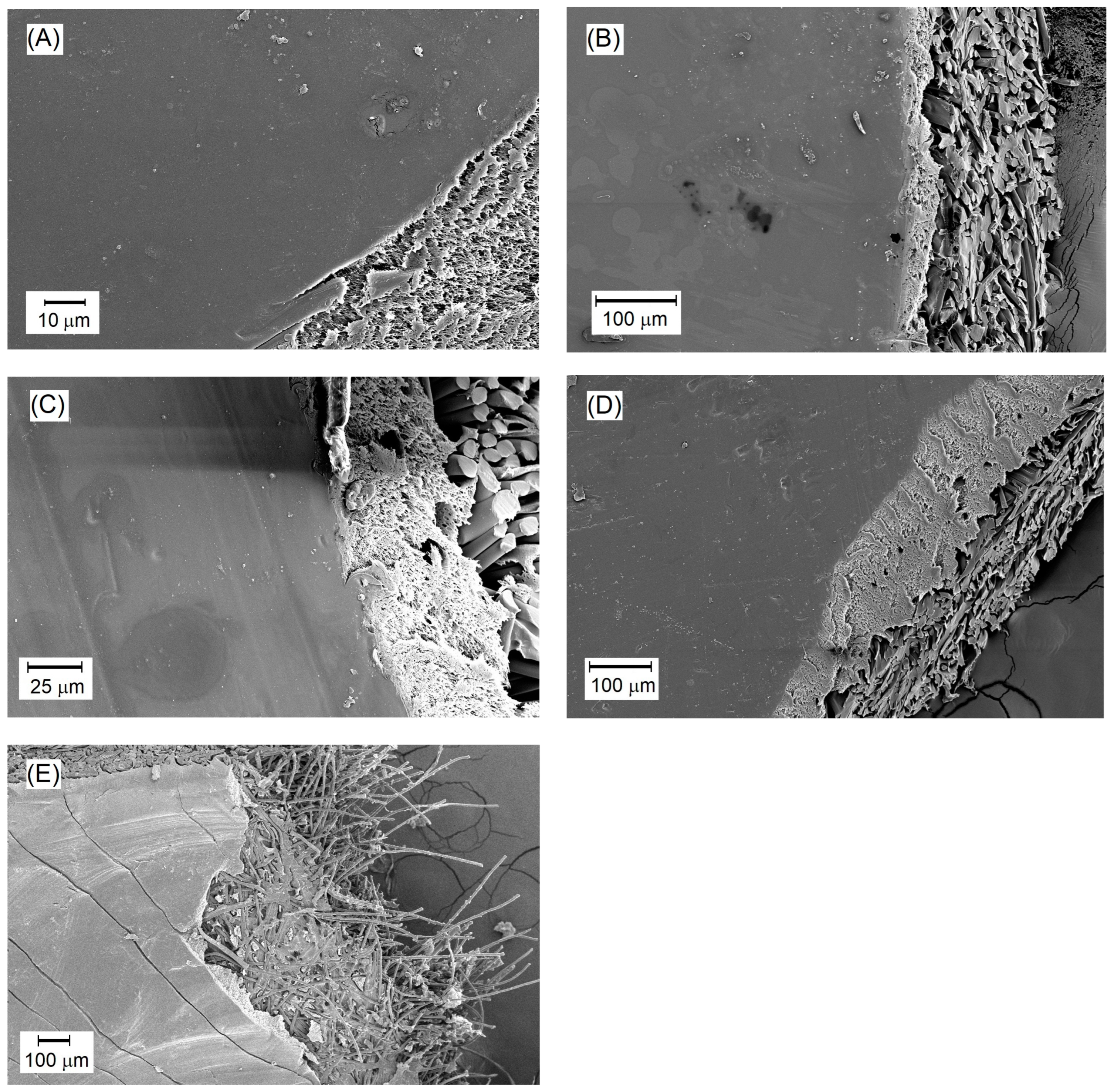 Membranes 14 00213 g006