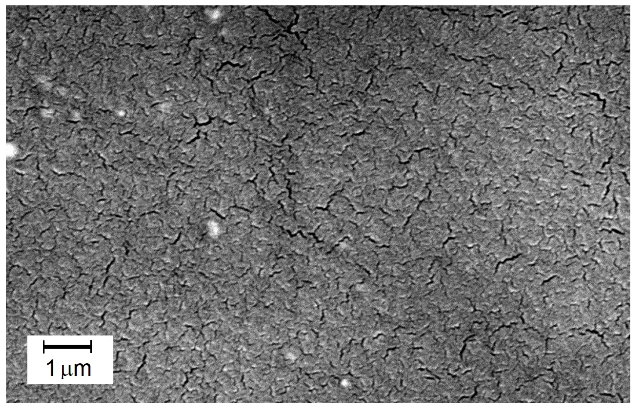 Membranes 14 00213 g008