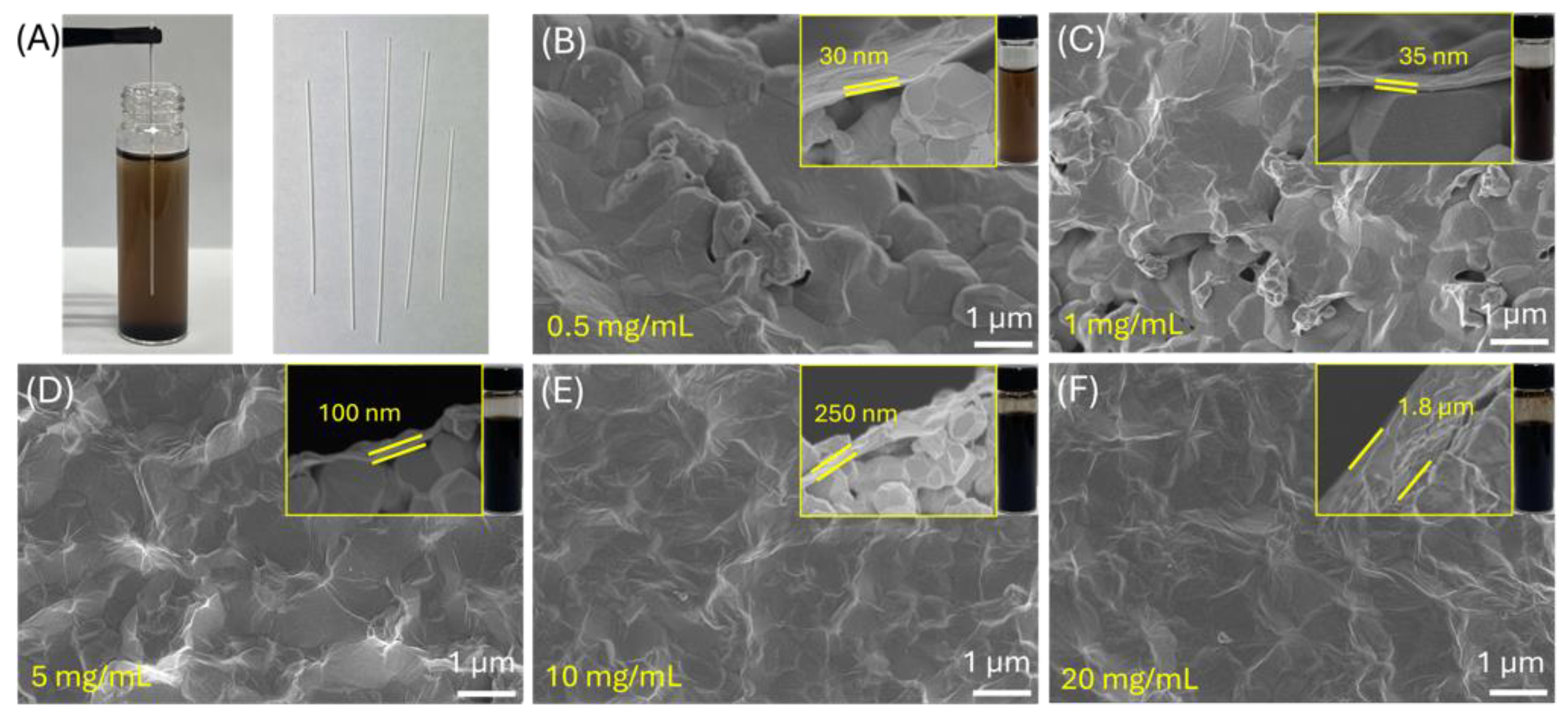 Membranes 14 00216 g002 Membranes 14 00216 g002