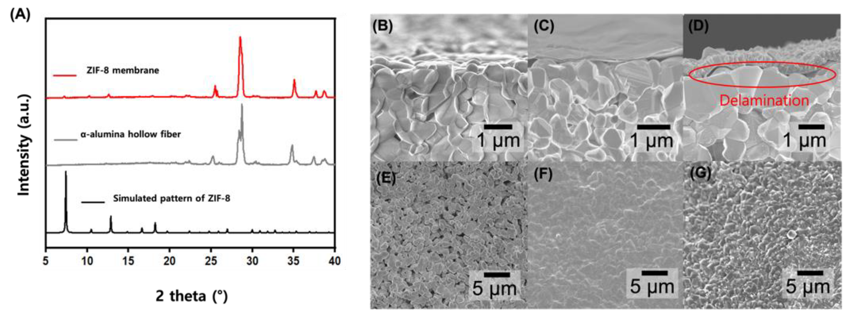 Membranes 14 00216 g003 Membranes 14 00216 g003