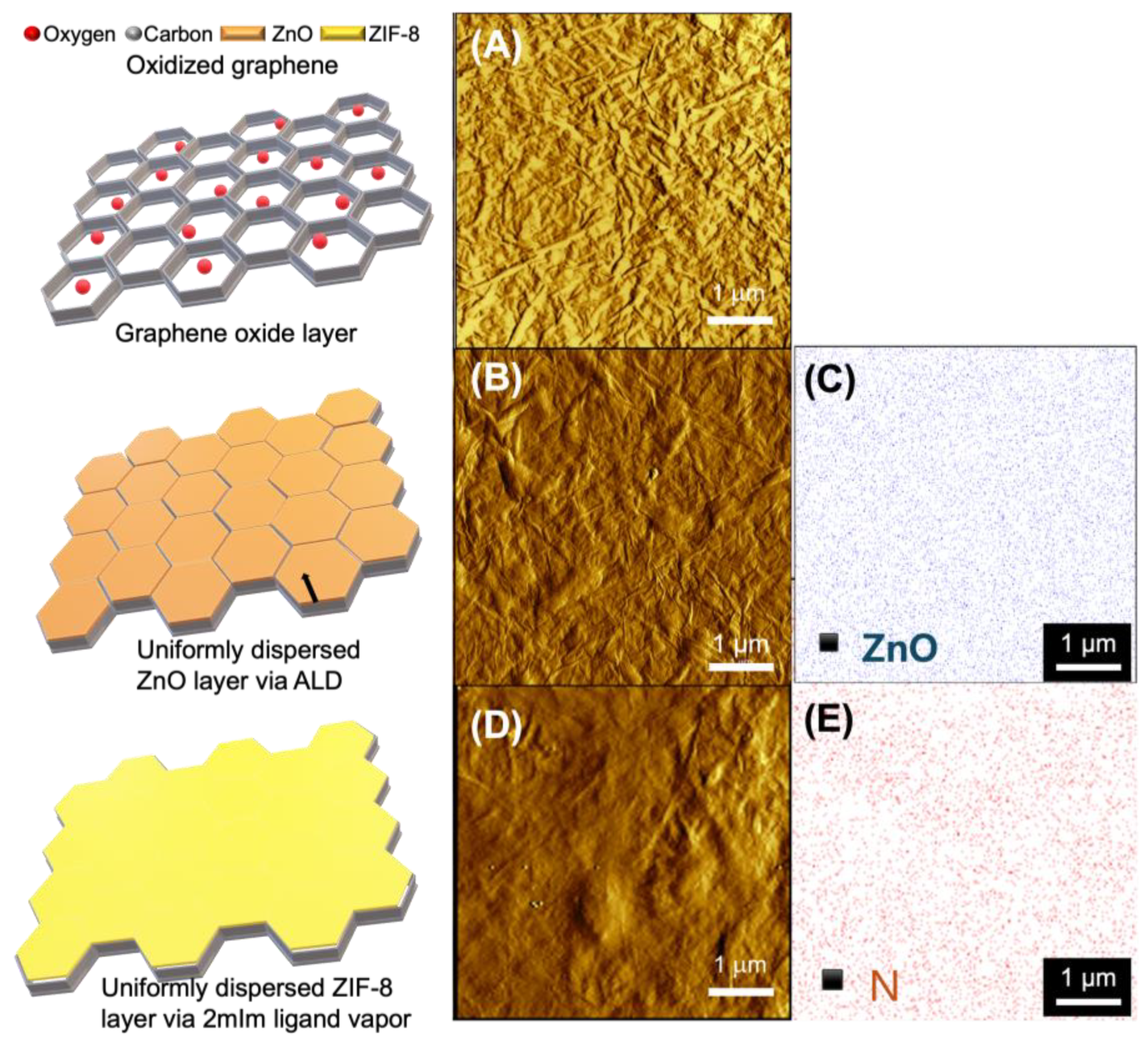 Membranes 14 00216 g004 Membranes 14 00216 g004