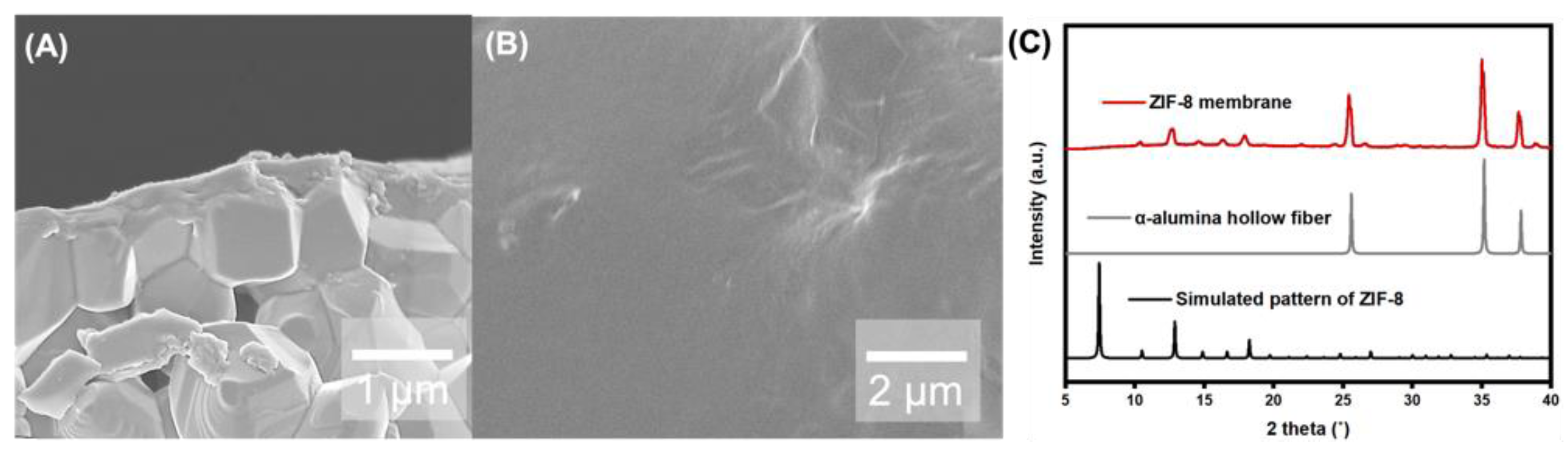 Membranes 14 00216 g005 Membranes 14 00216 g005