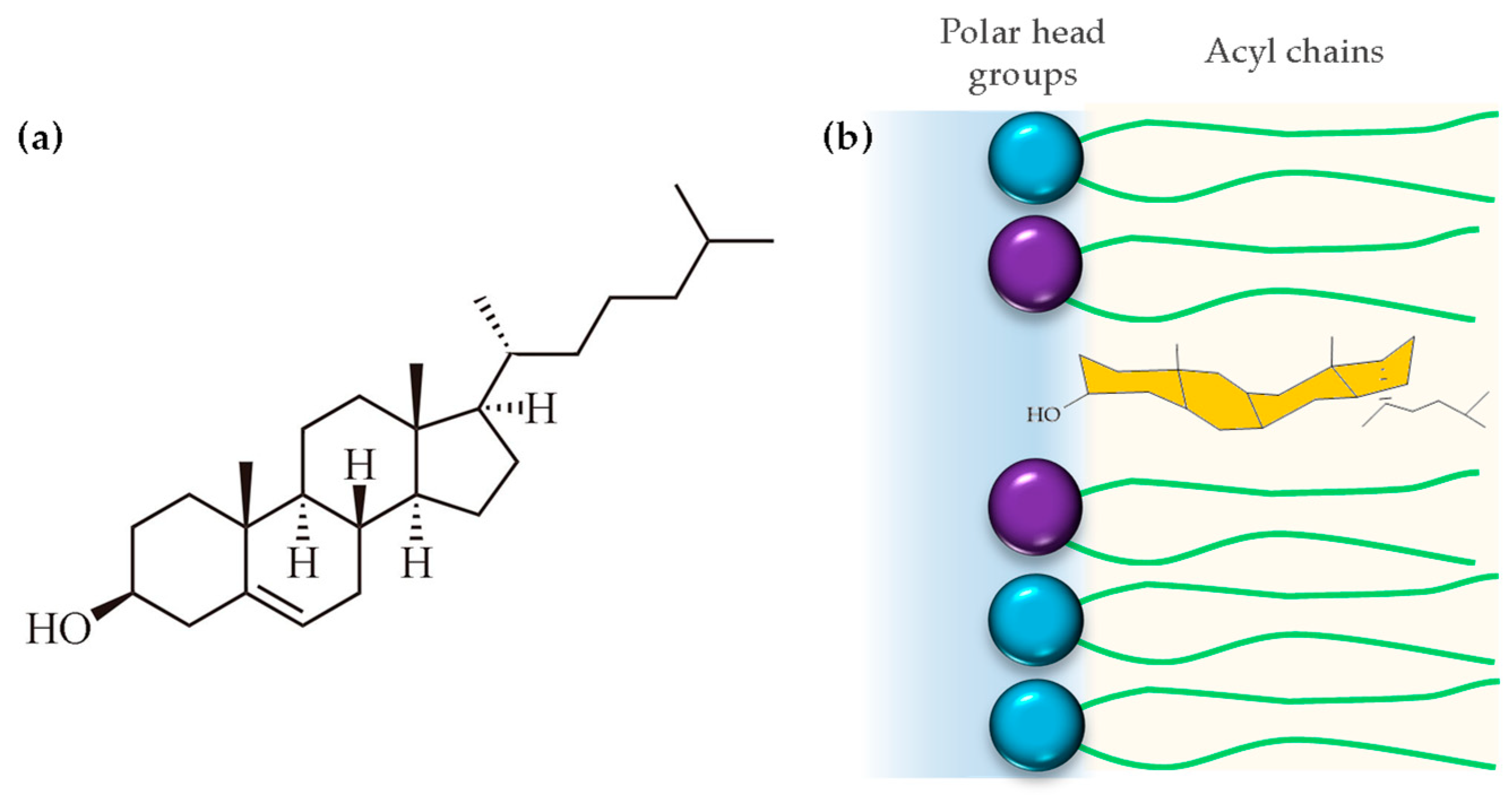 Membranes 14 00220 g006