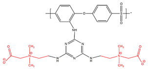 Membranes 14 00226 i001