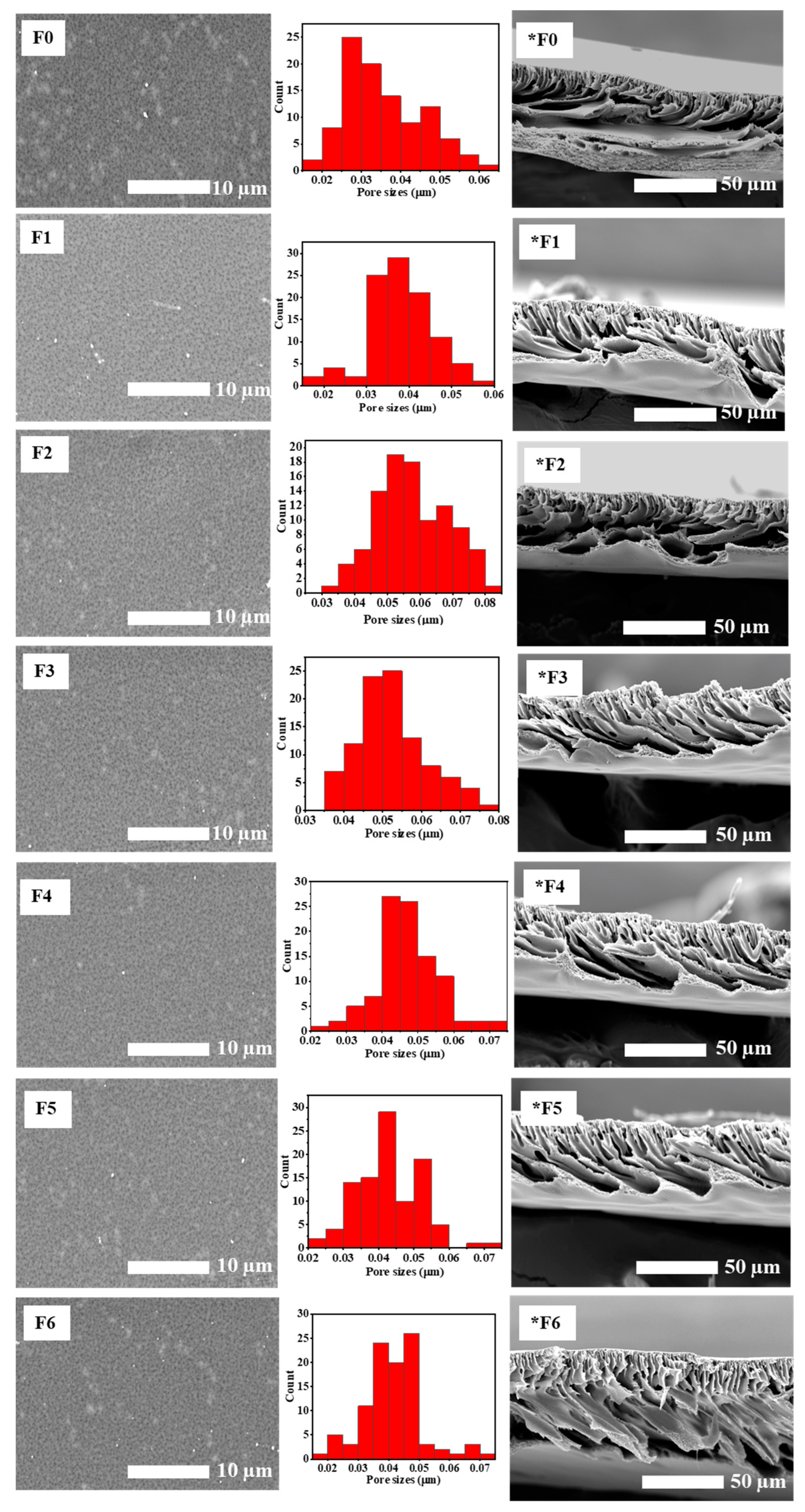 Membranes 14 00227 g005