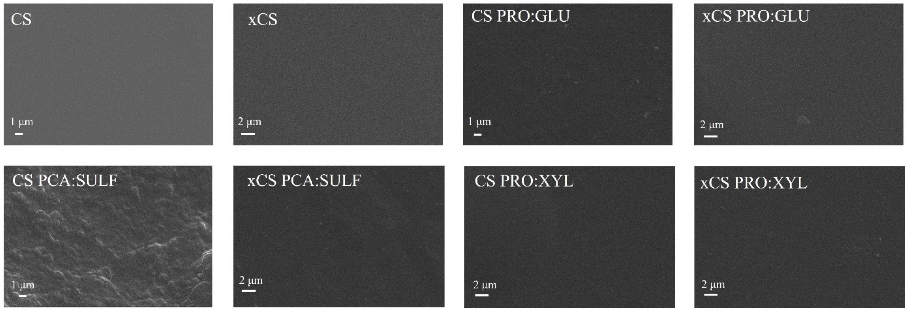 Membranes 14 00237 g002